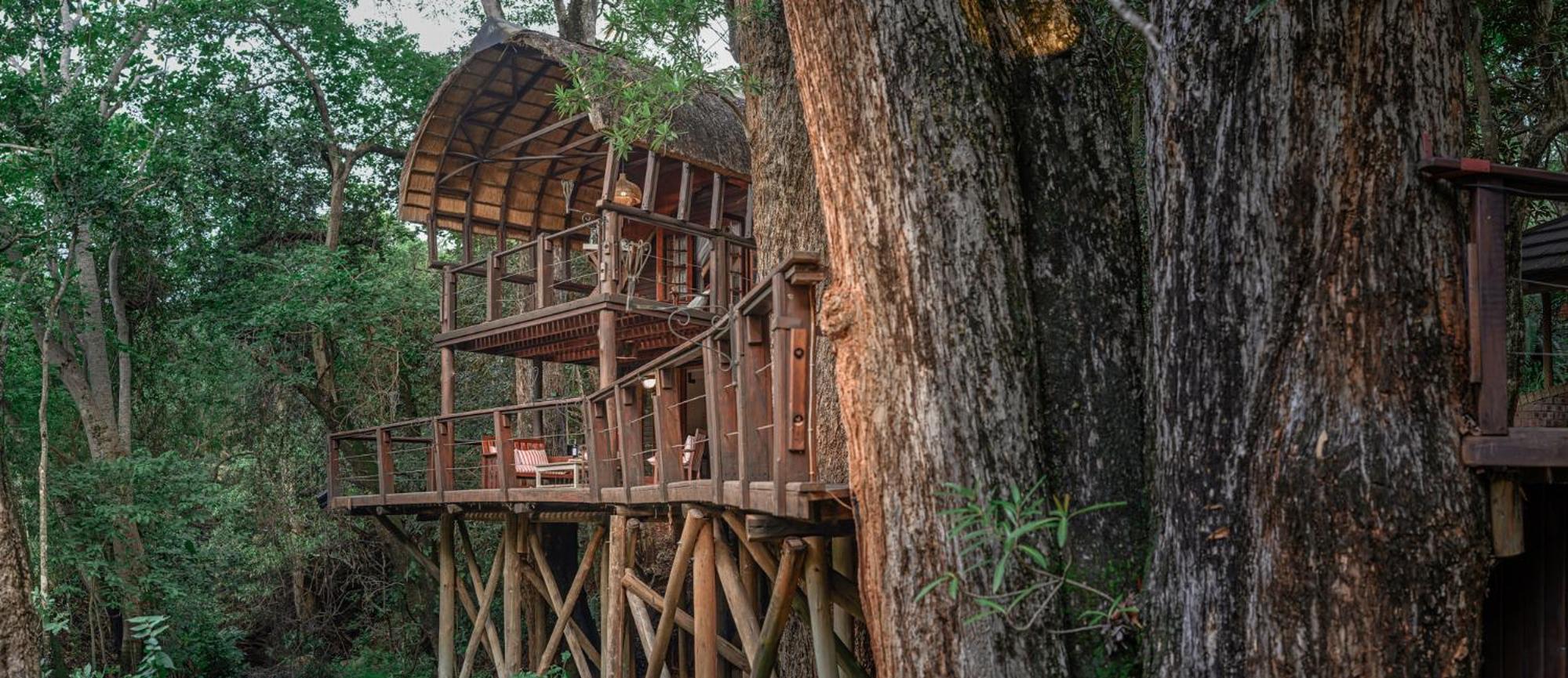 Serenity Mountain and Forest Lodge