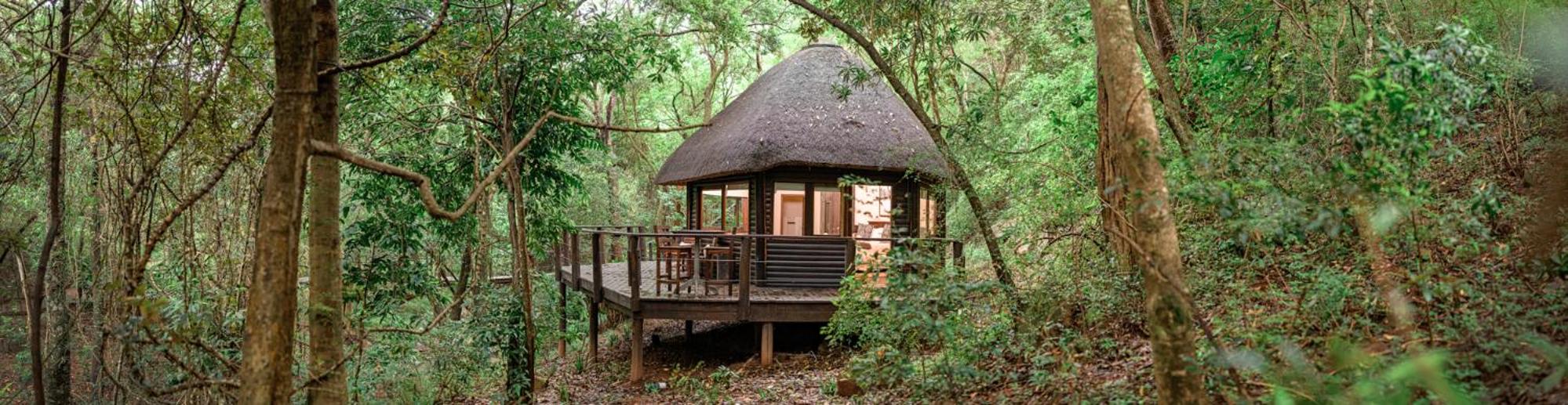 Serenity Mountain and Forest Lodge