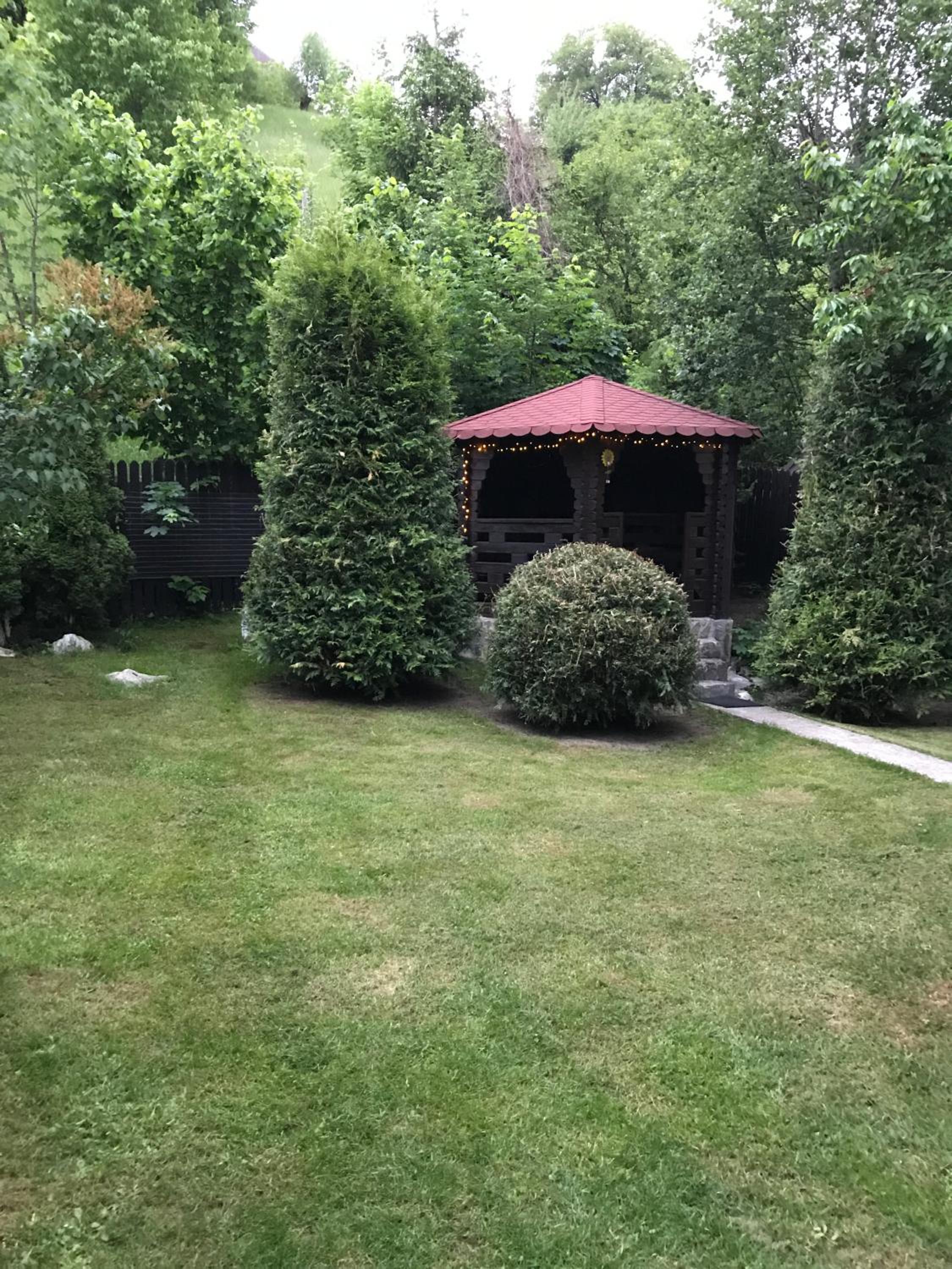 Chalet Milenium Residence Bran