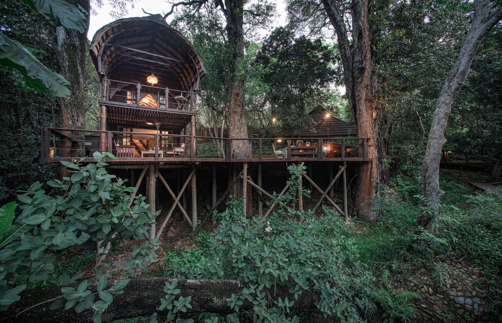 Serenity Mountain and Forest Lodge
