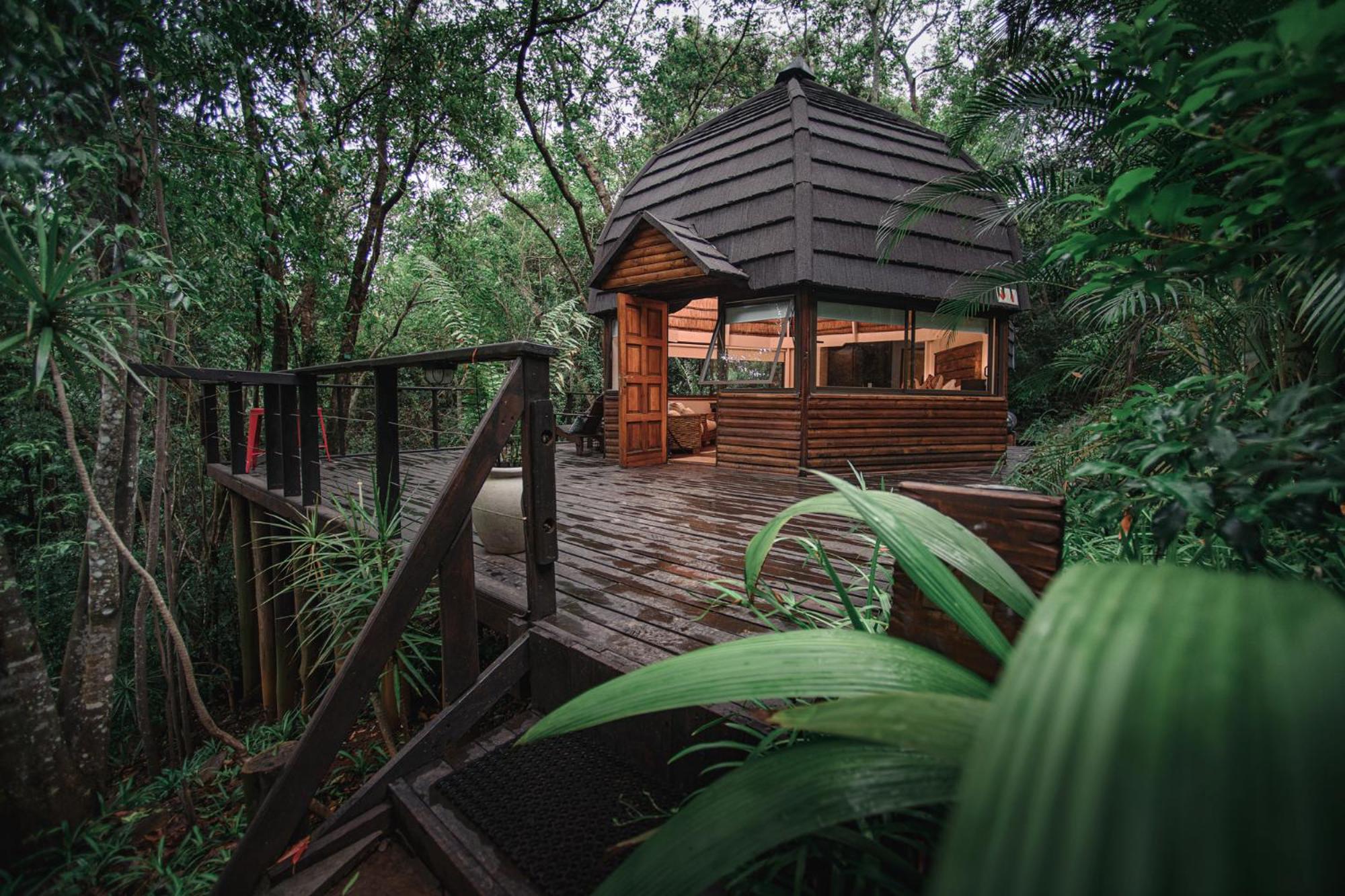 Serenity Mountain and Forest Lodge