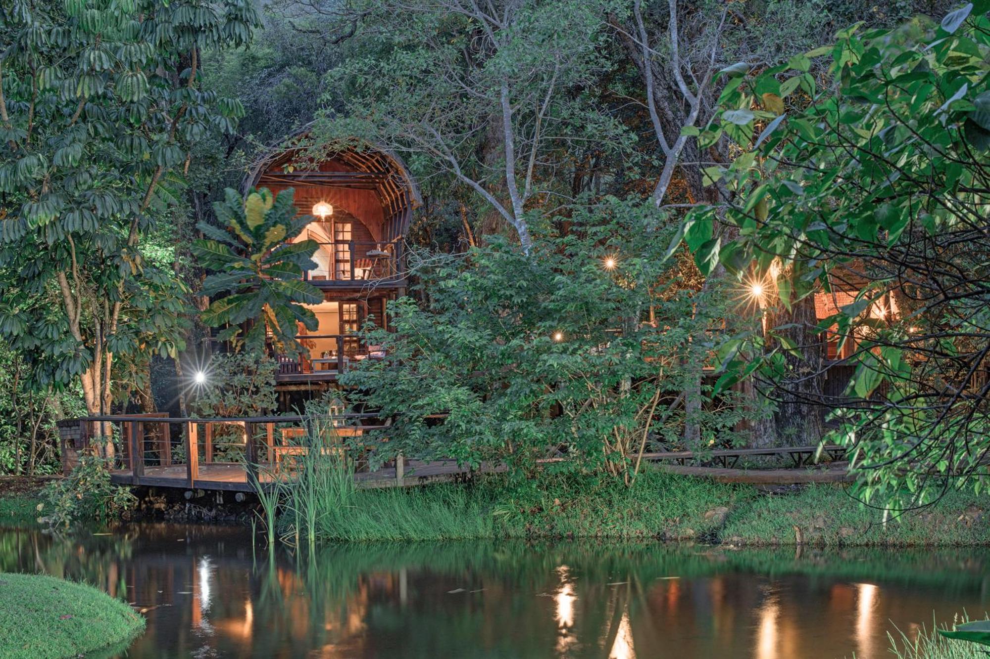 Serenity Mountain and Forest Lodge