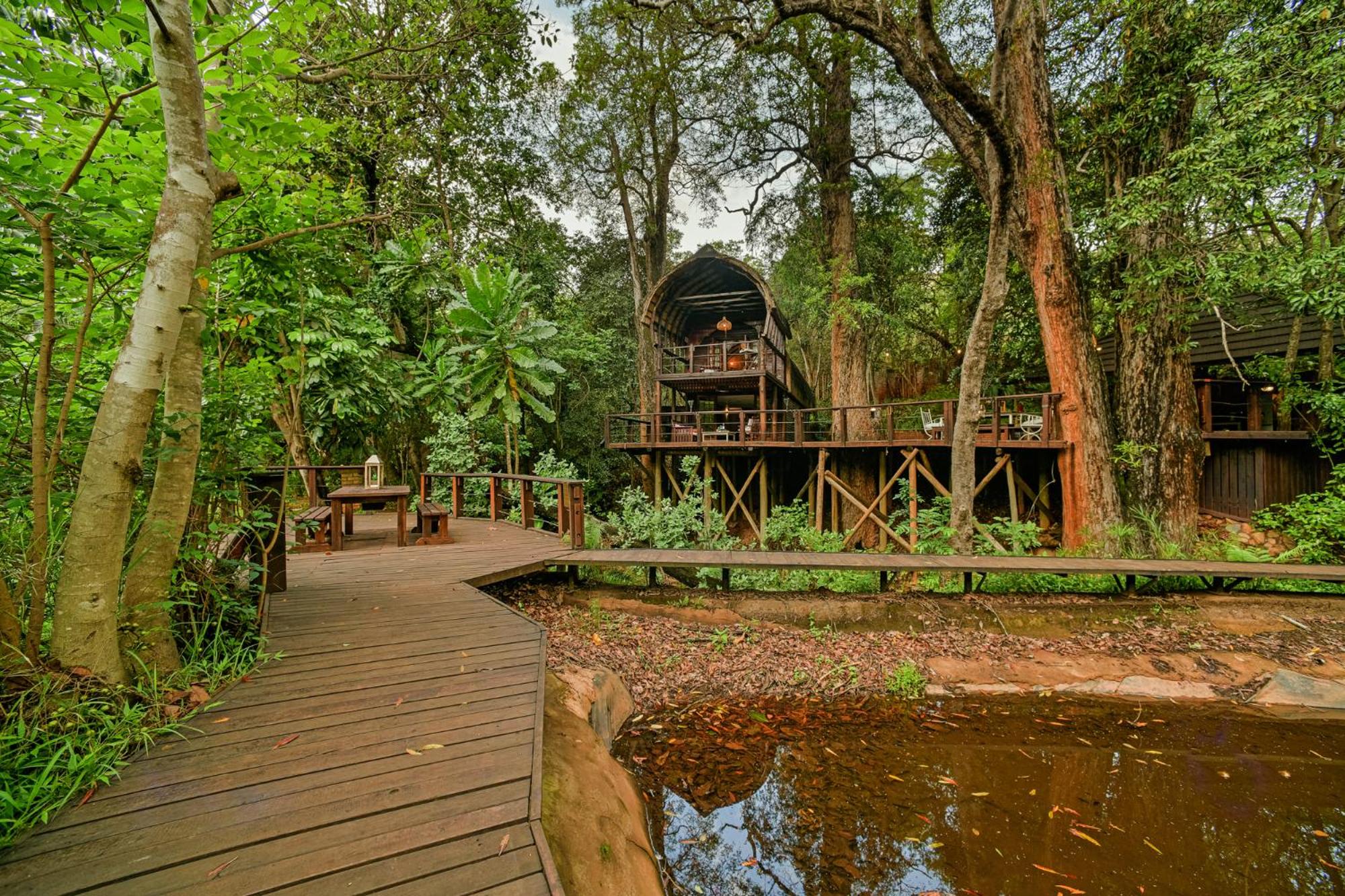 Serenity Mountain and Forest Lodge