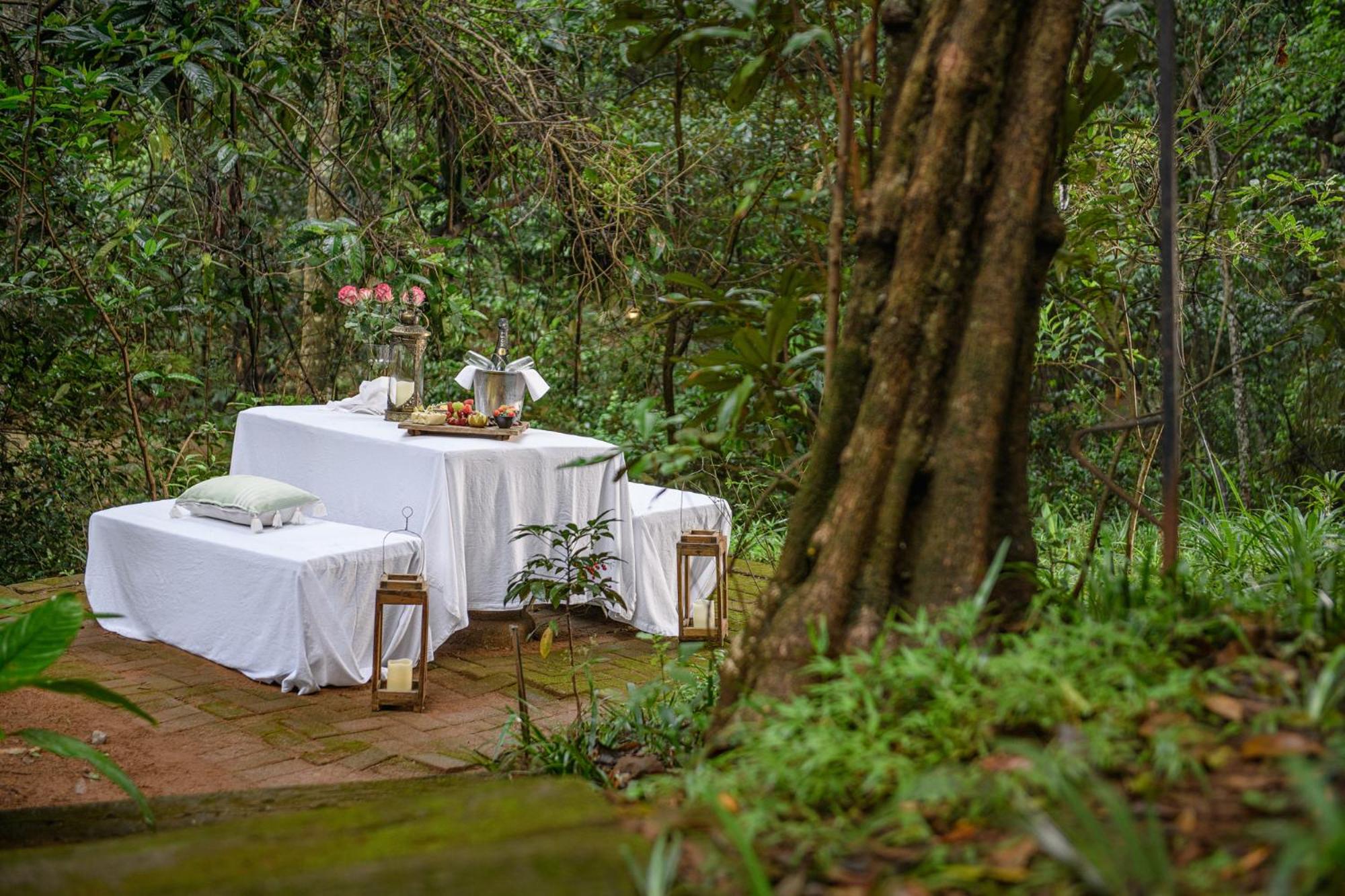 Serenity Mountain and Forest Lodge