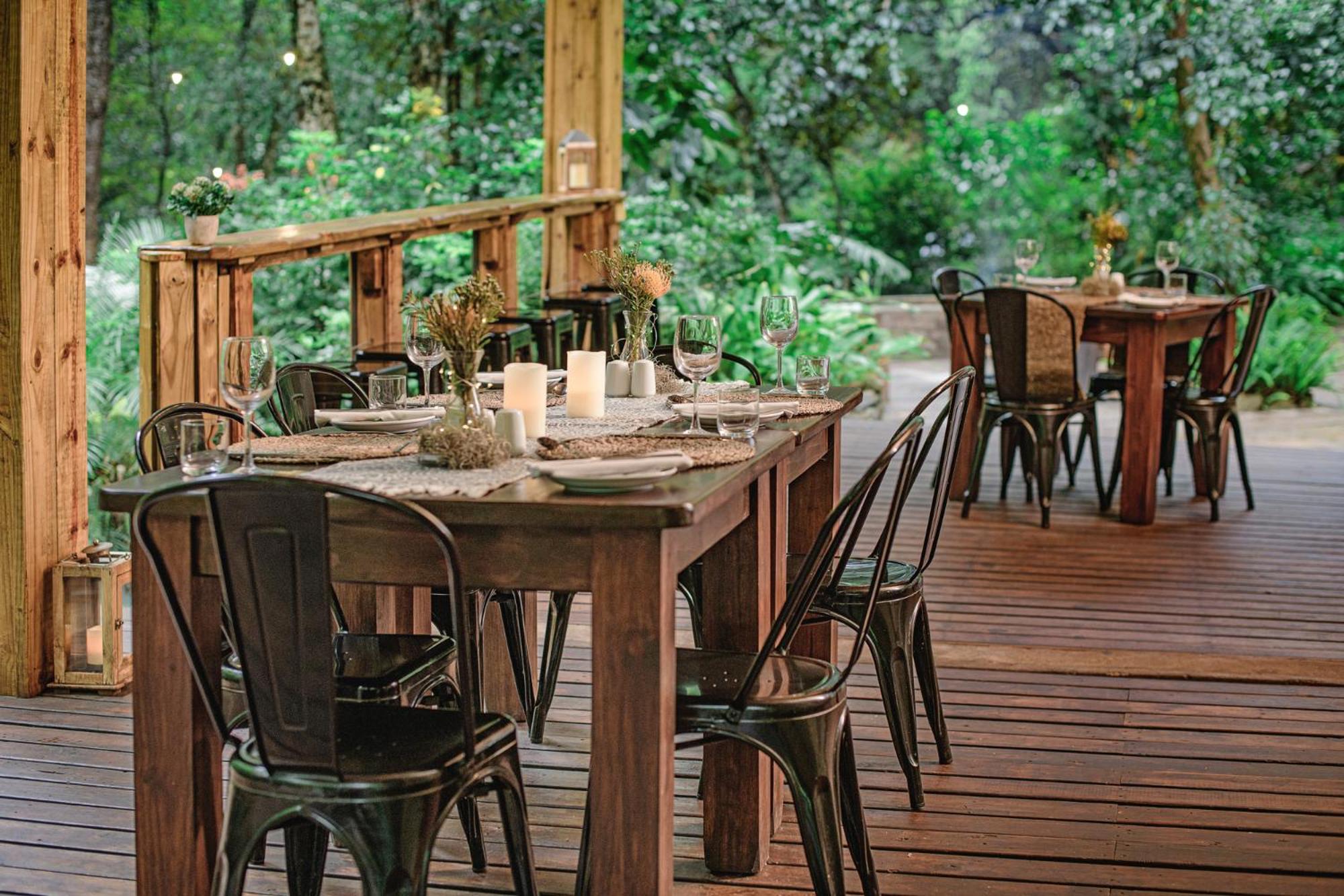 Serenity Mountain and Forest Lodge