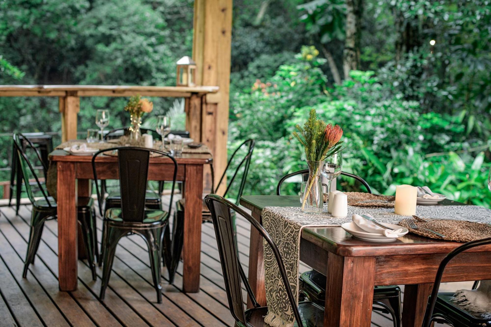 Serenity Mountain and Forest Lodge