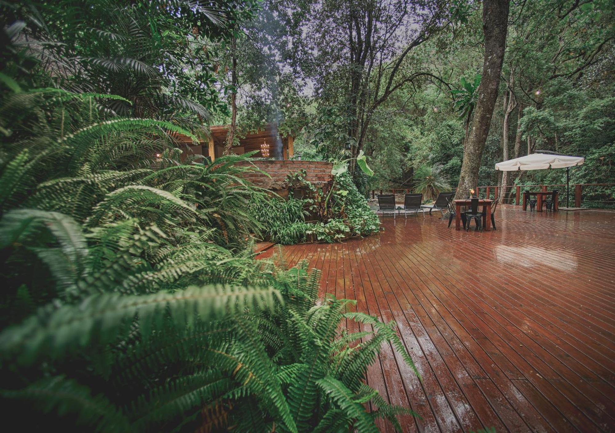 Serenity Mountain and Forest Lodge