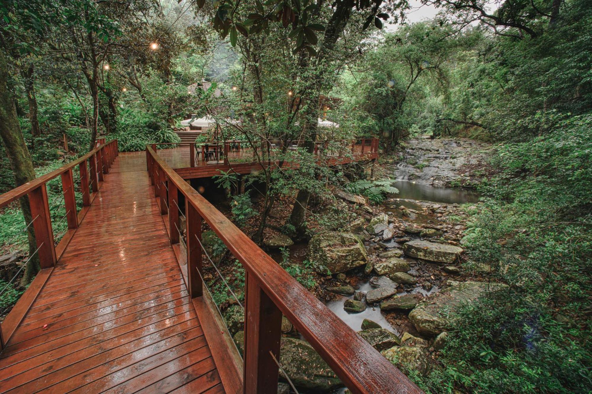 Serenity Mountain and Forest Lodge