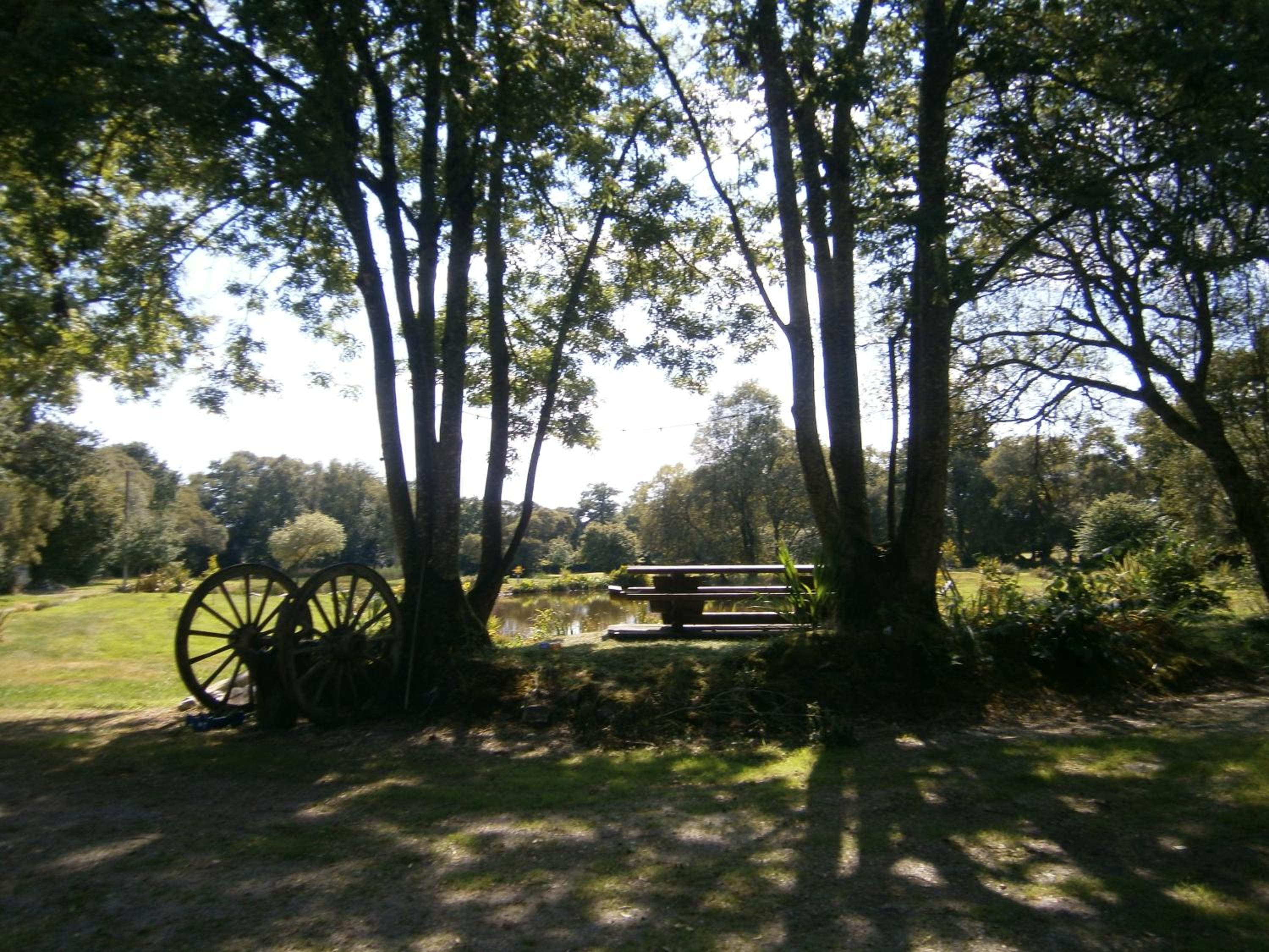 Chambre d'hôte atypique "trappeur" West little ranch, photo 12