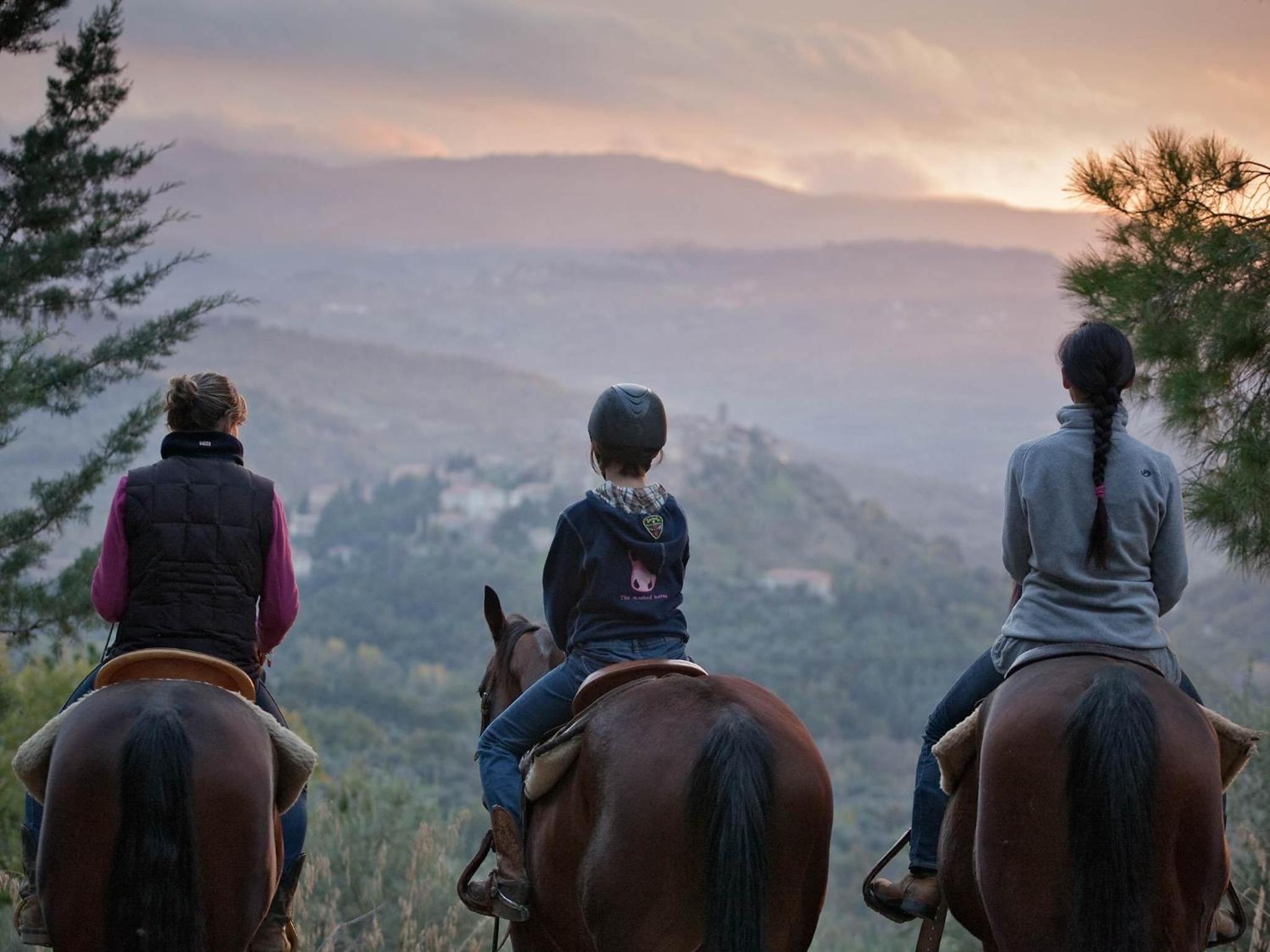 Tenuta La Silva photo 5