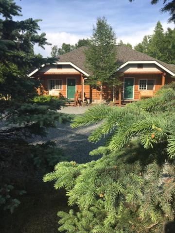 Denali Fireside Cabin & Suites view 2