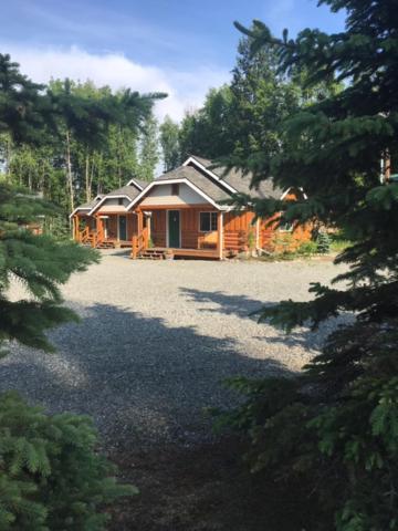 Denali Fireside Cabin & Suites view 4
