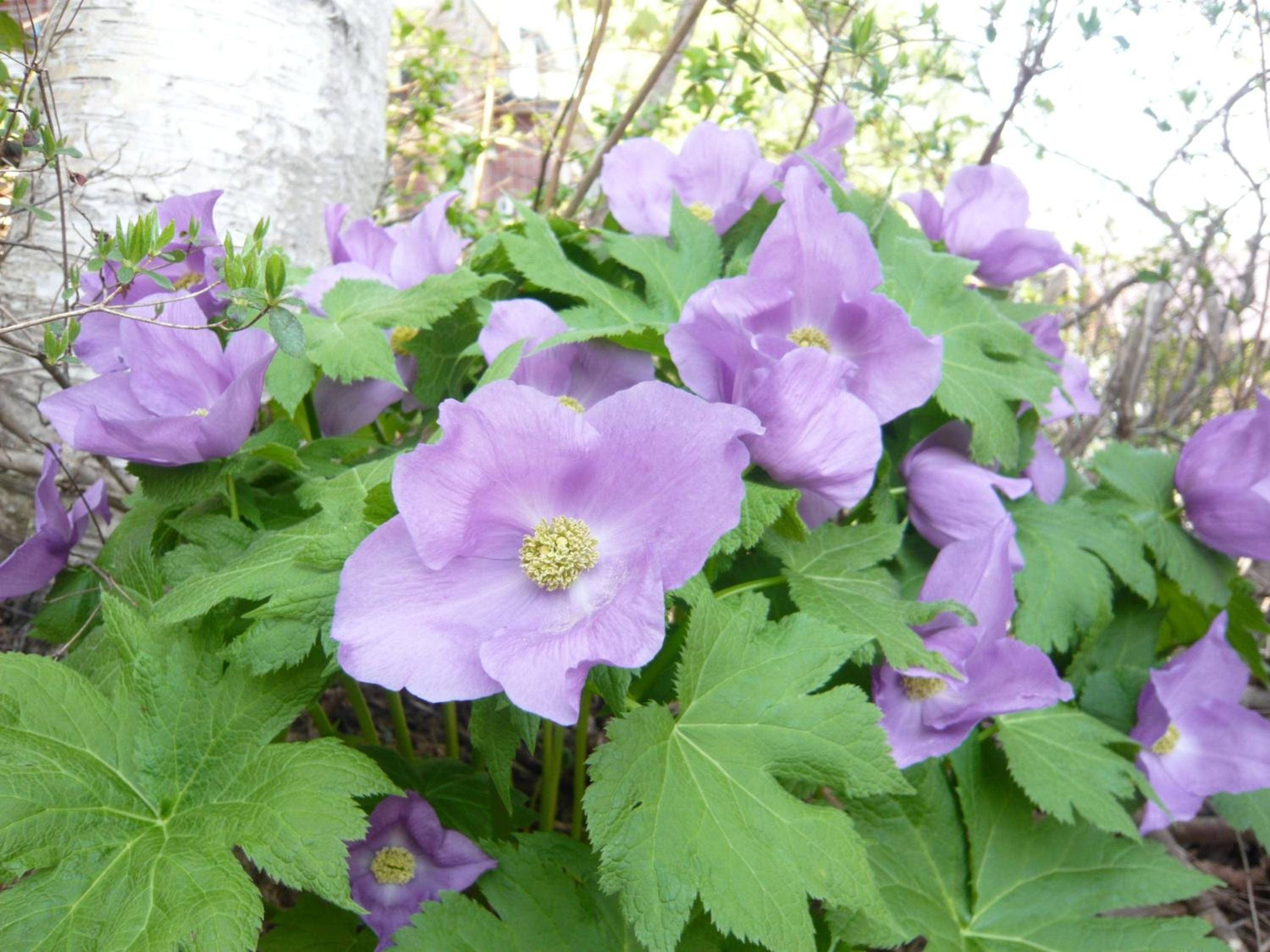 Photo 40