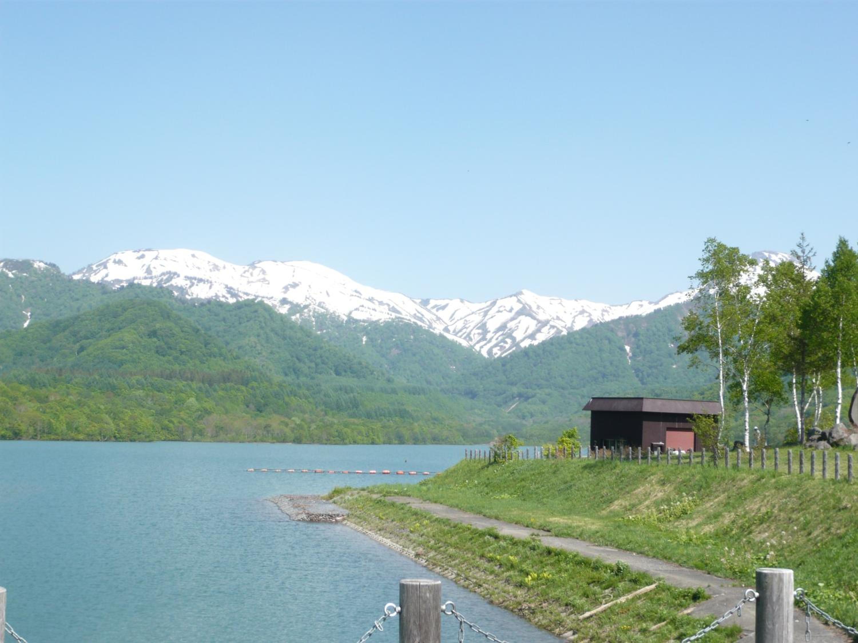 Photo 42