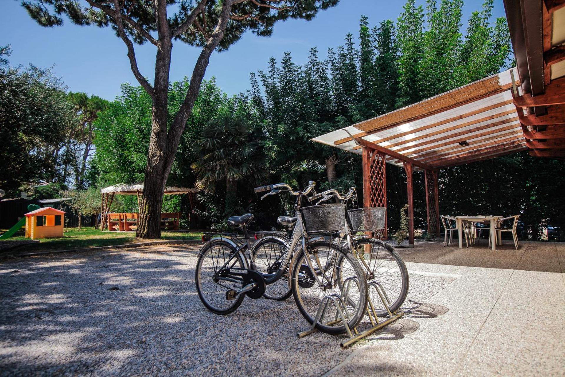 Photo 39