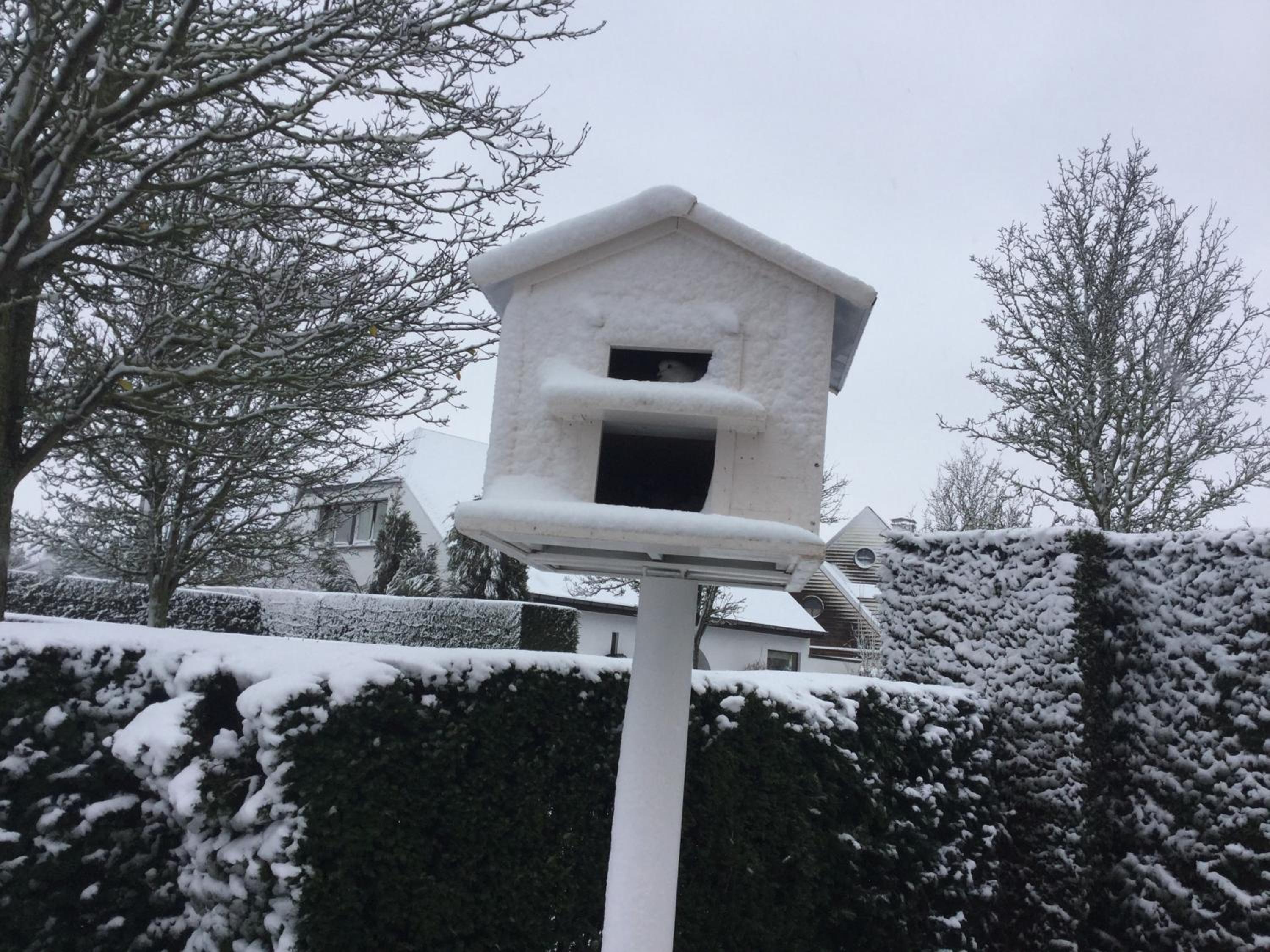 B&B Colombe Blanche