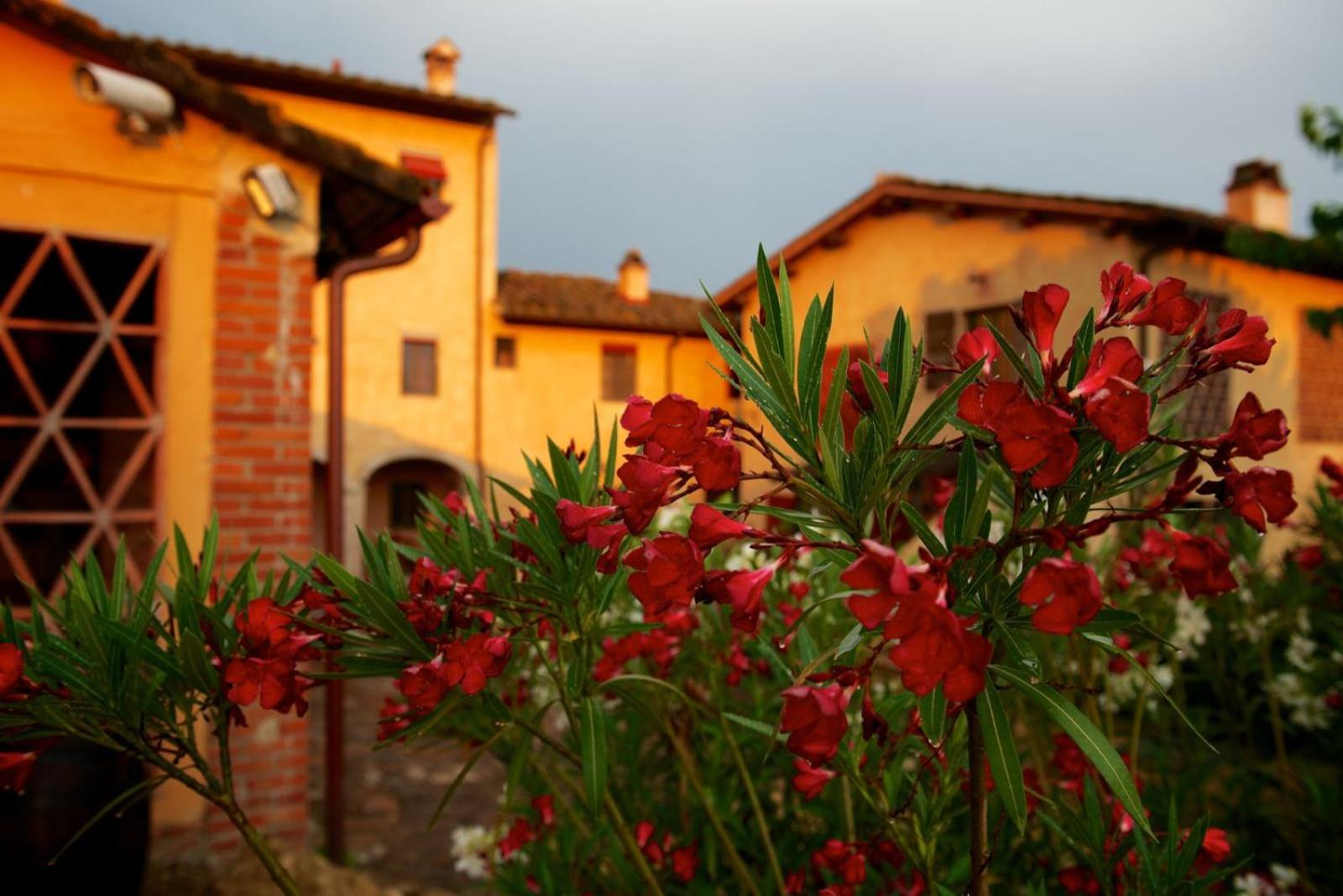 I Veroni - Agriturismo and Wine Cellar view 3