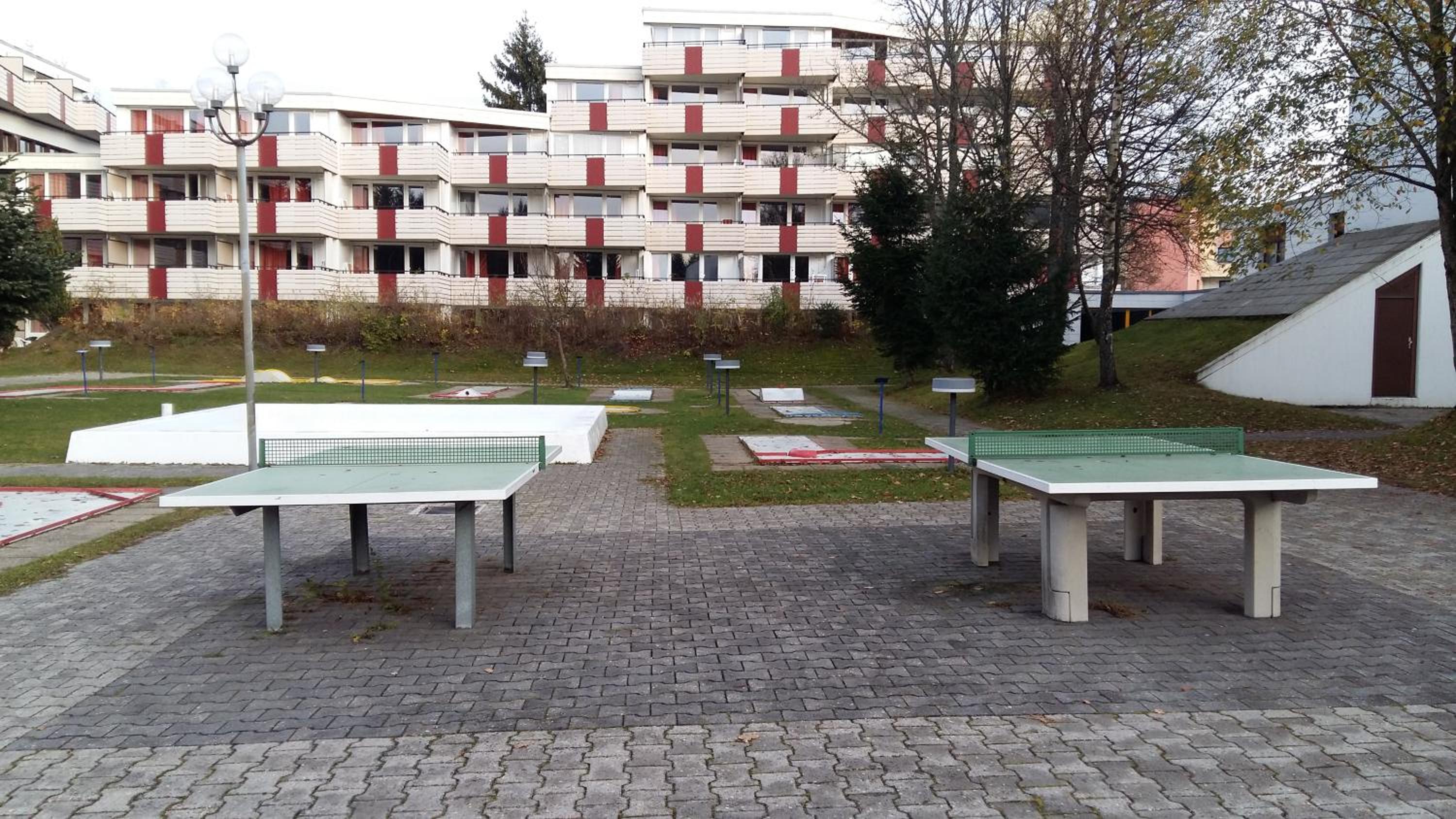 Photo 41
