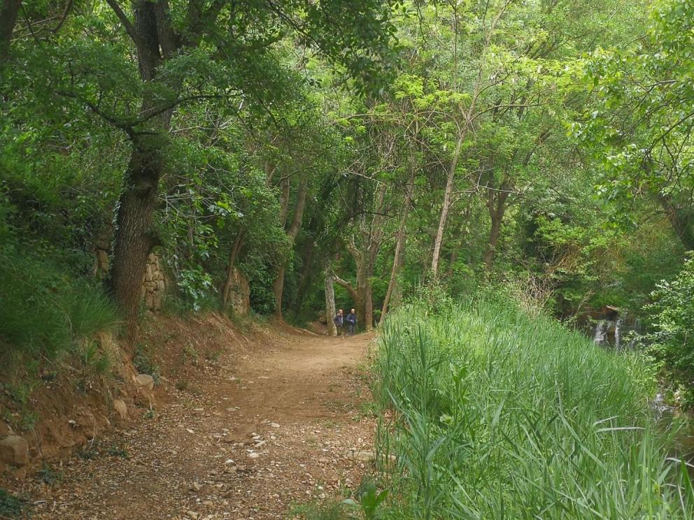 La casa dels ocells
