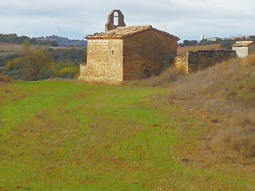 La casa dels ocells