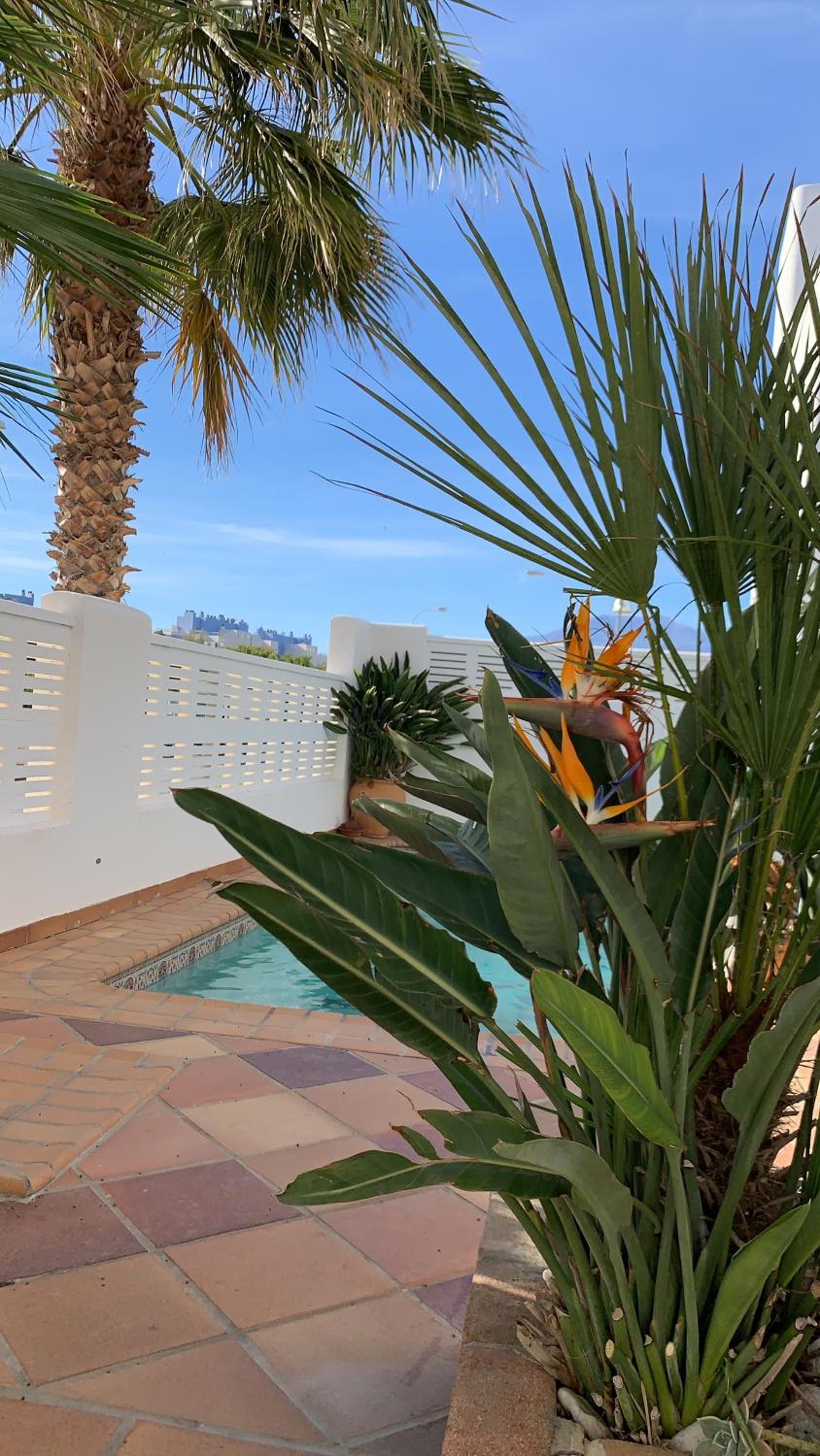 Hotel Villa Cinco Palmas