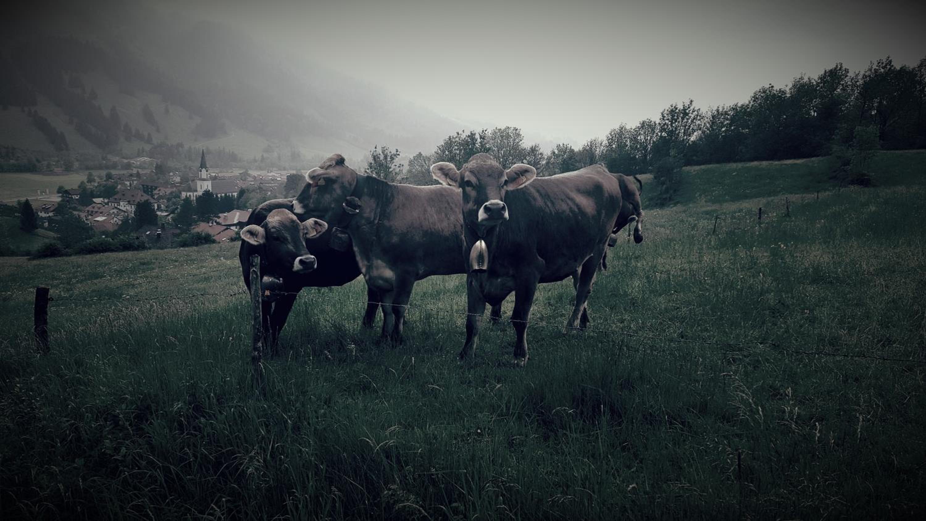 Landhaus Via Decia - Bad Hindelang PLUS Partner