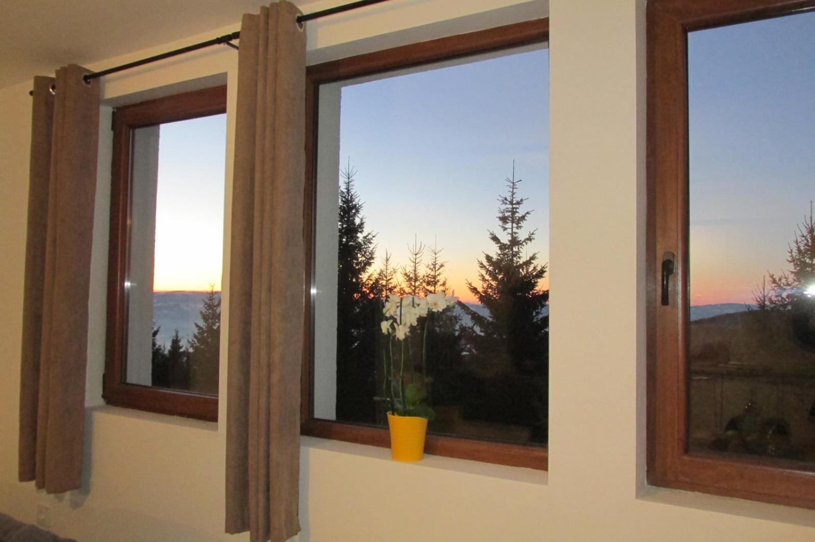 JOPA Suncani breg view 5