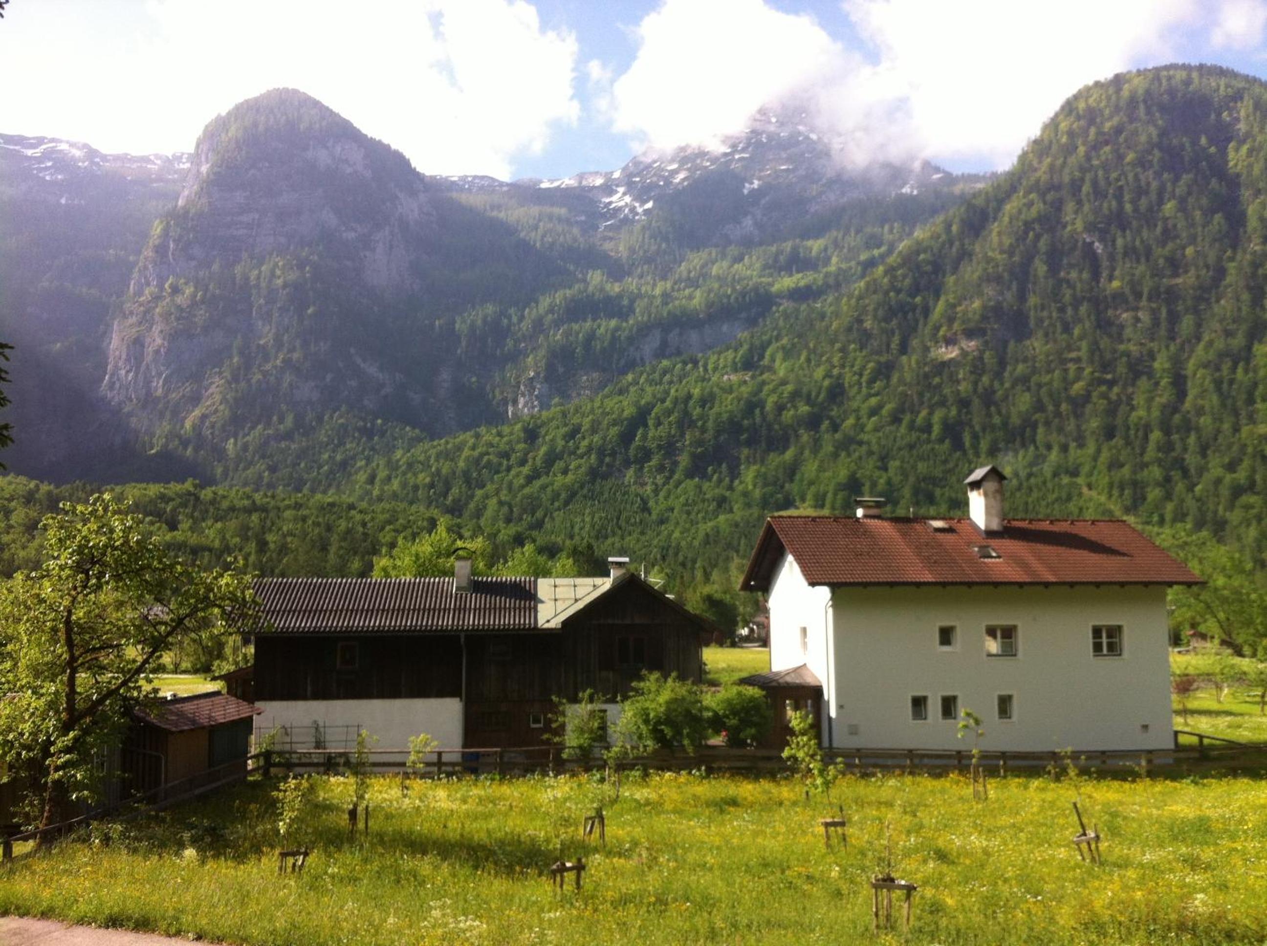 Photo 36