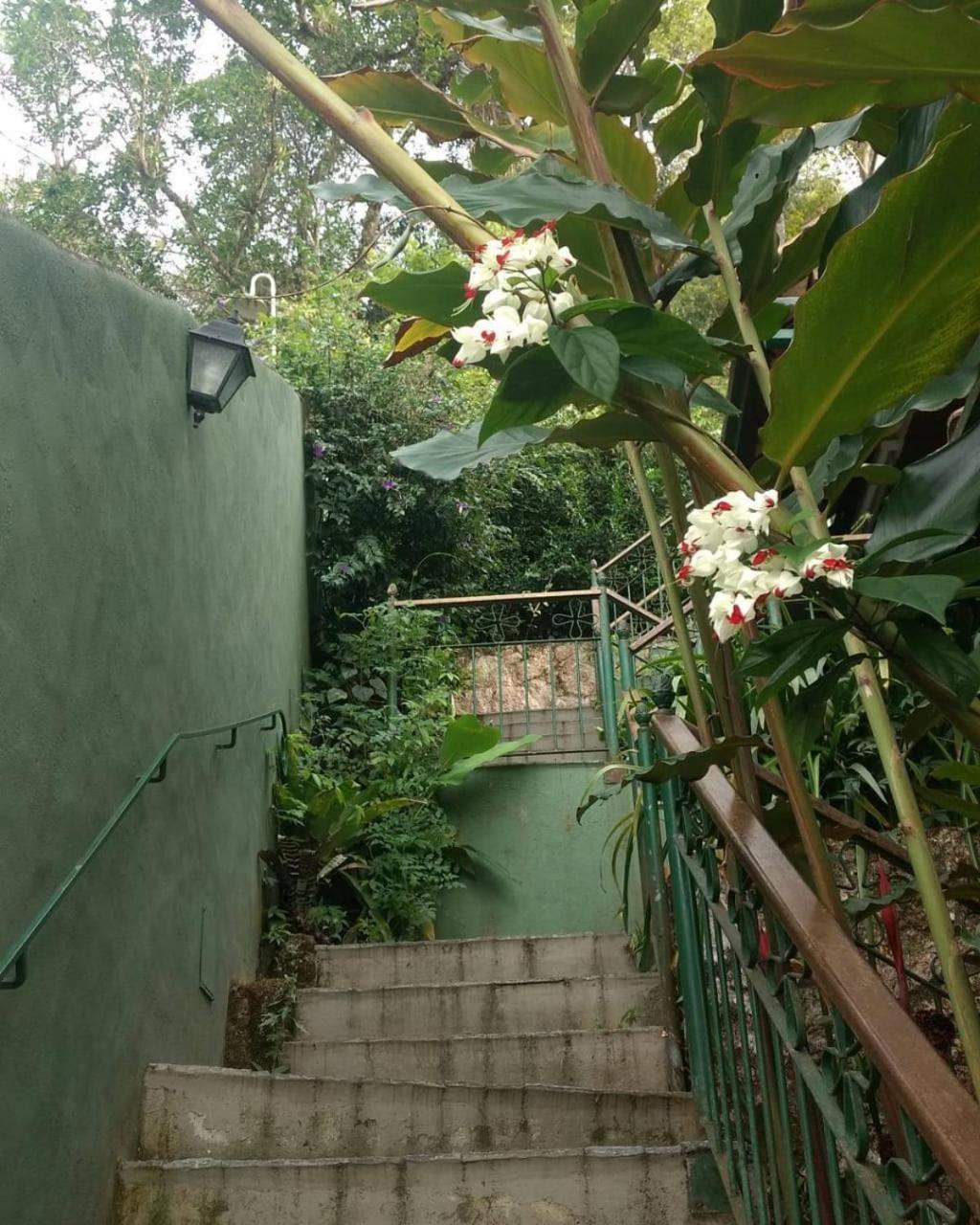 Pousada Solar D Alcina