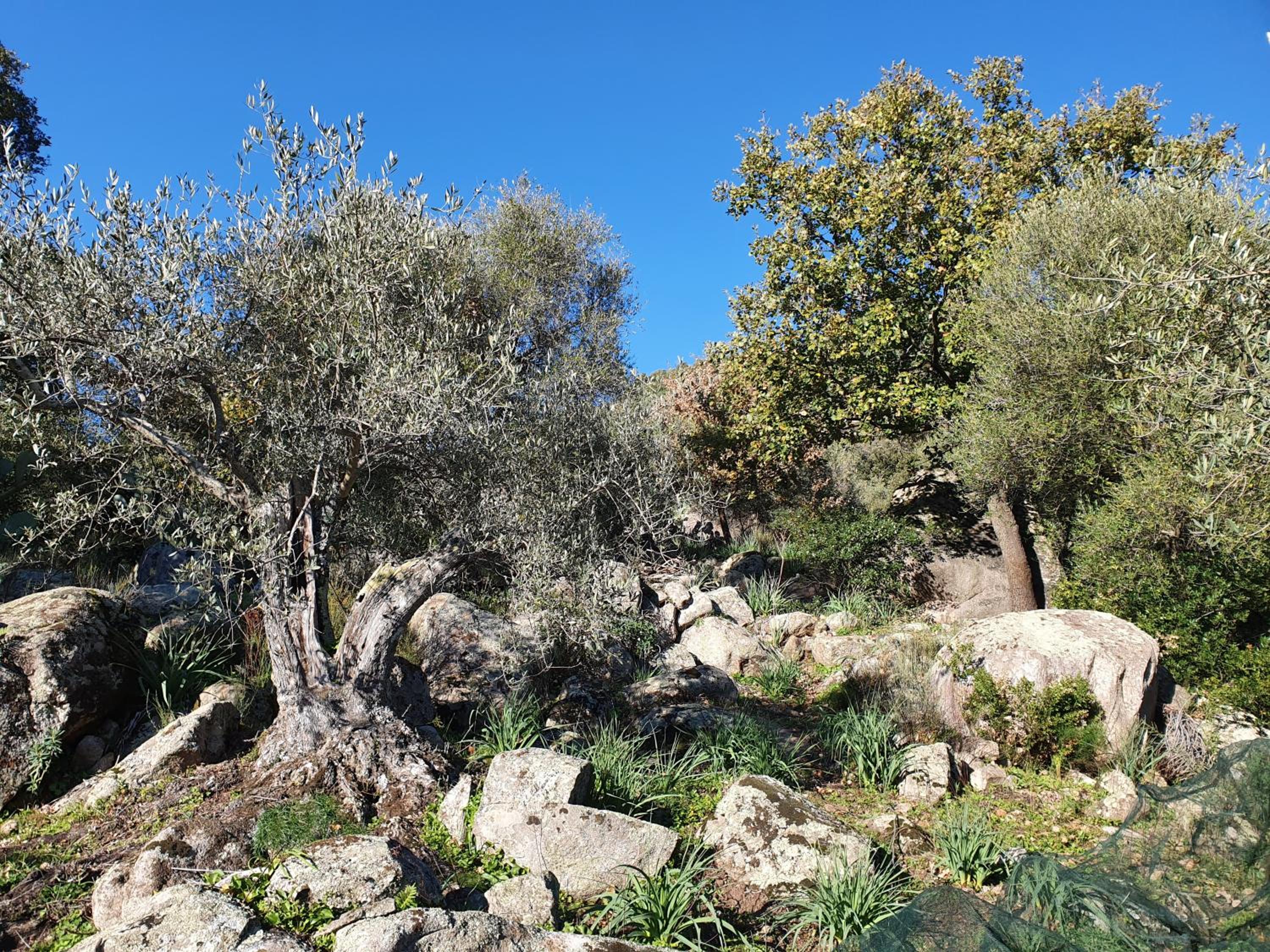 Terry's House