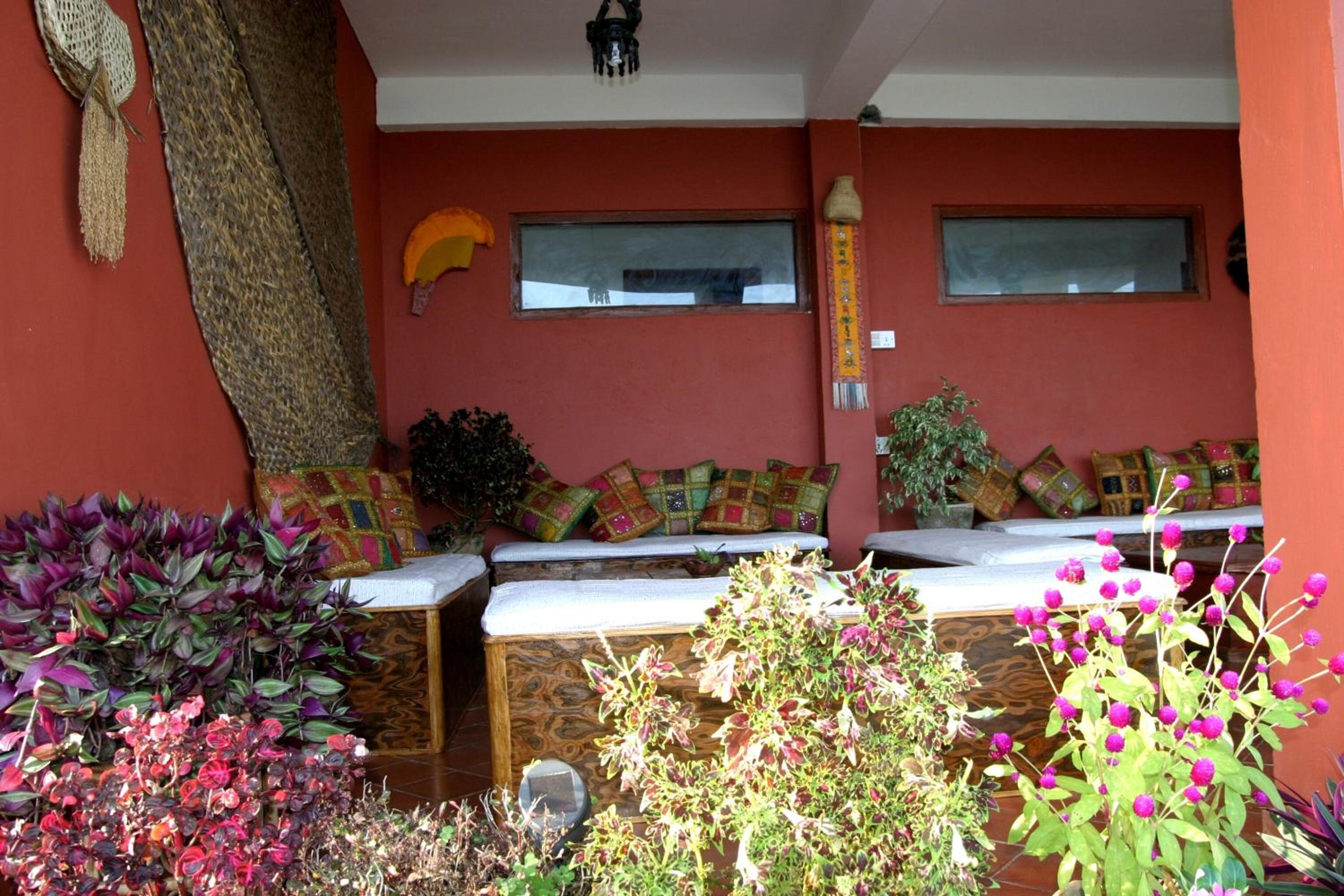 Peace Dragon Lodge