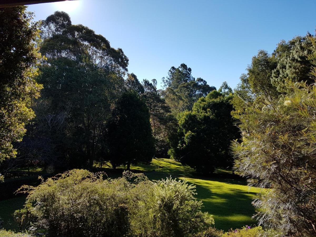 The Paddocks