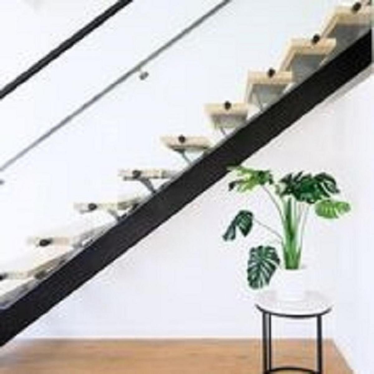 Timor Street Apartments view 3
