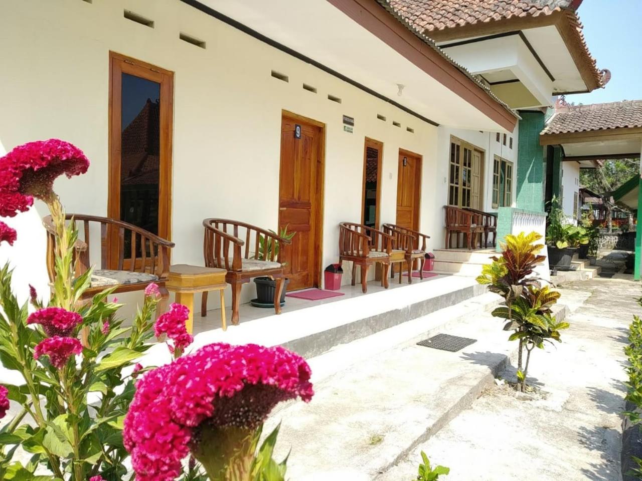 Photo 7