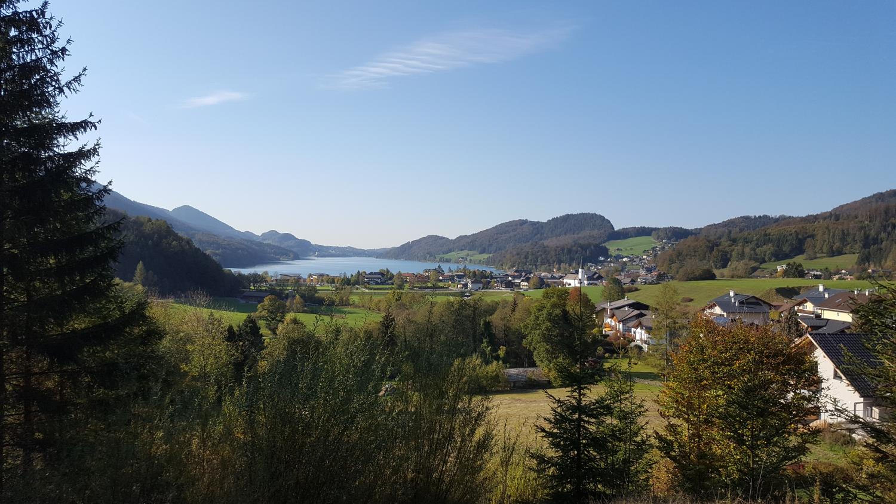 Feichtingerbauer