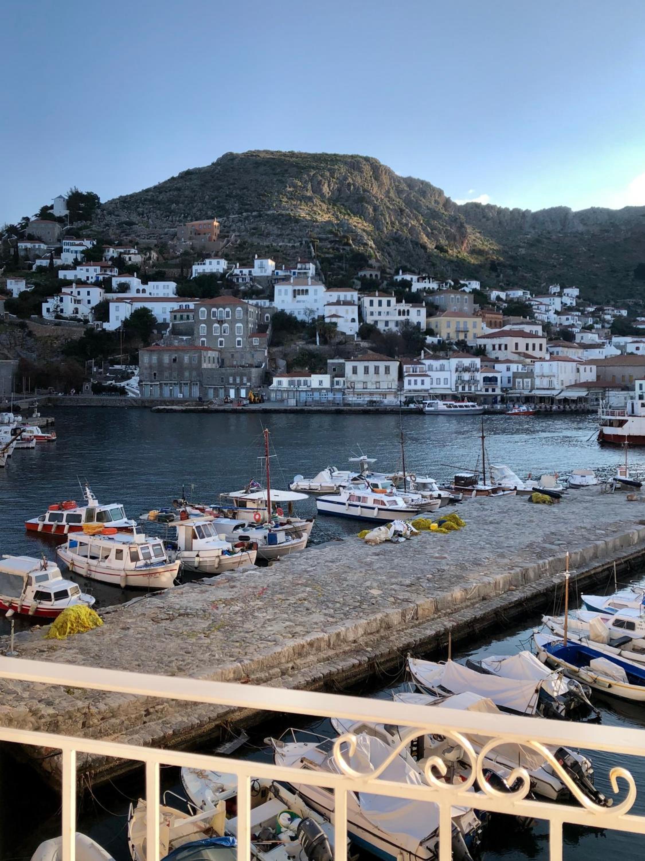 Hydra's View