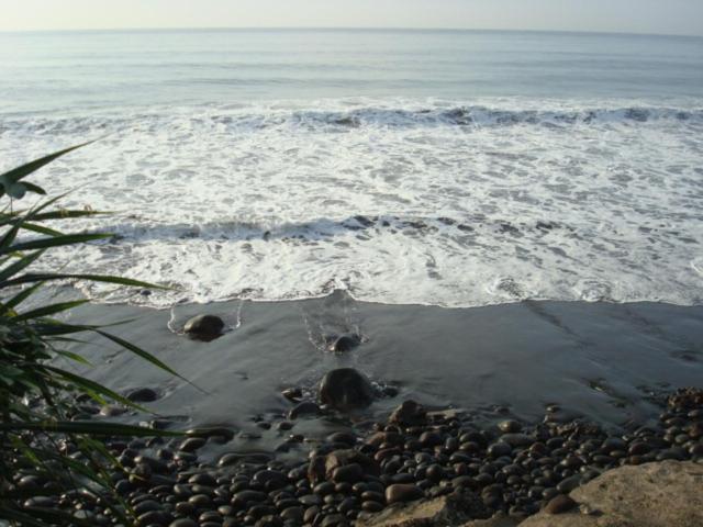 Photo 38