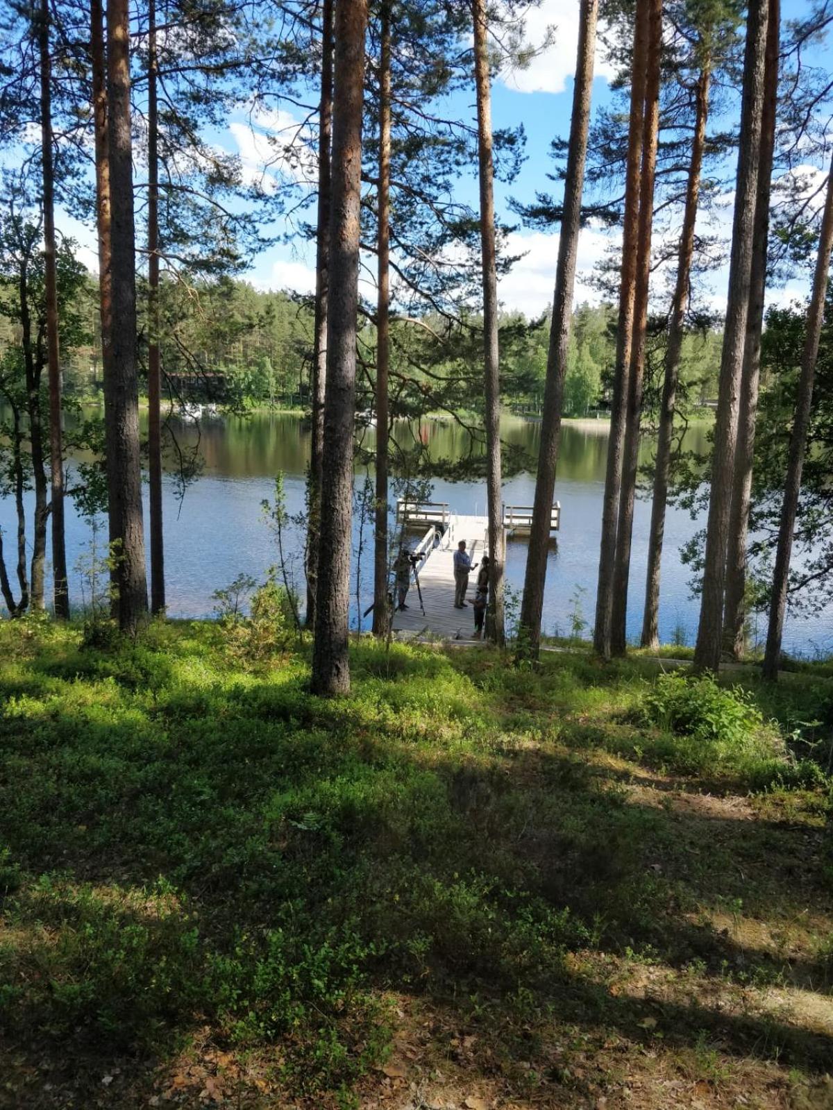 Photo 13