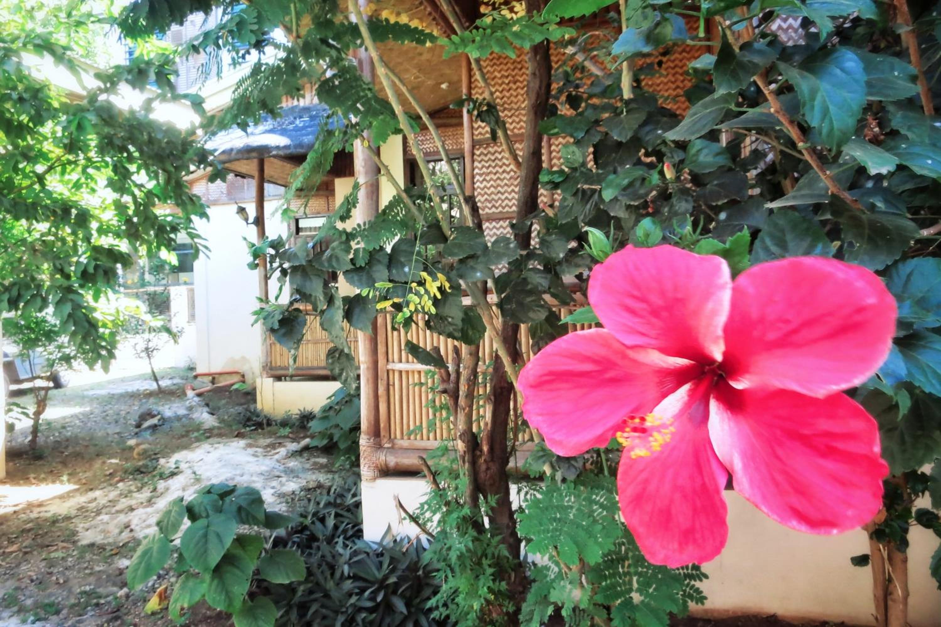 Pagdayon Traveler's Inn view 3