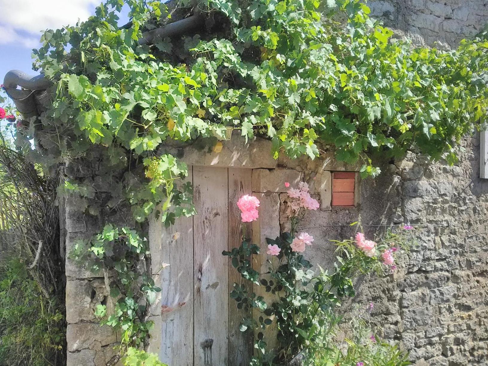 Photo 11