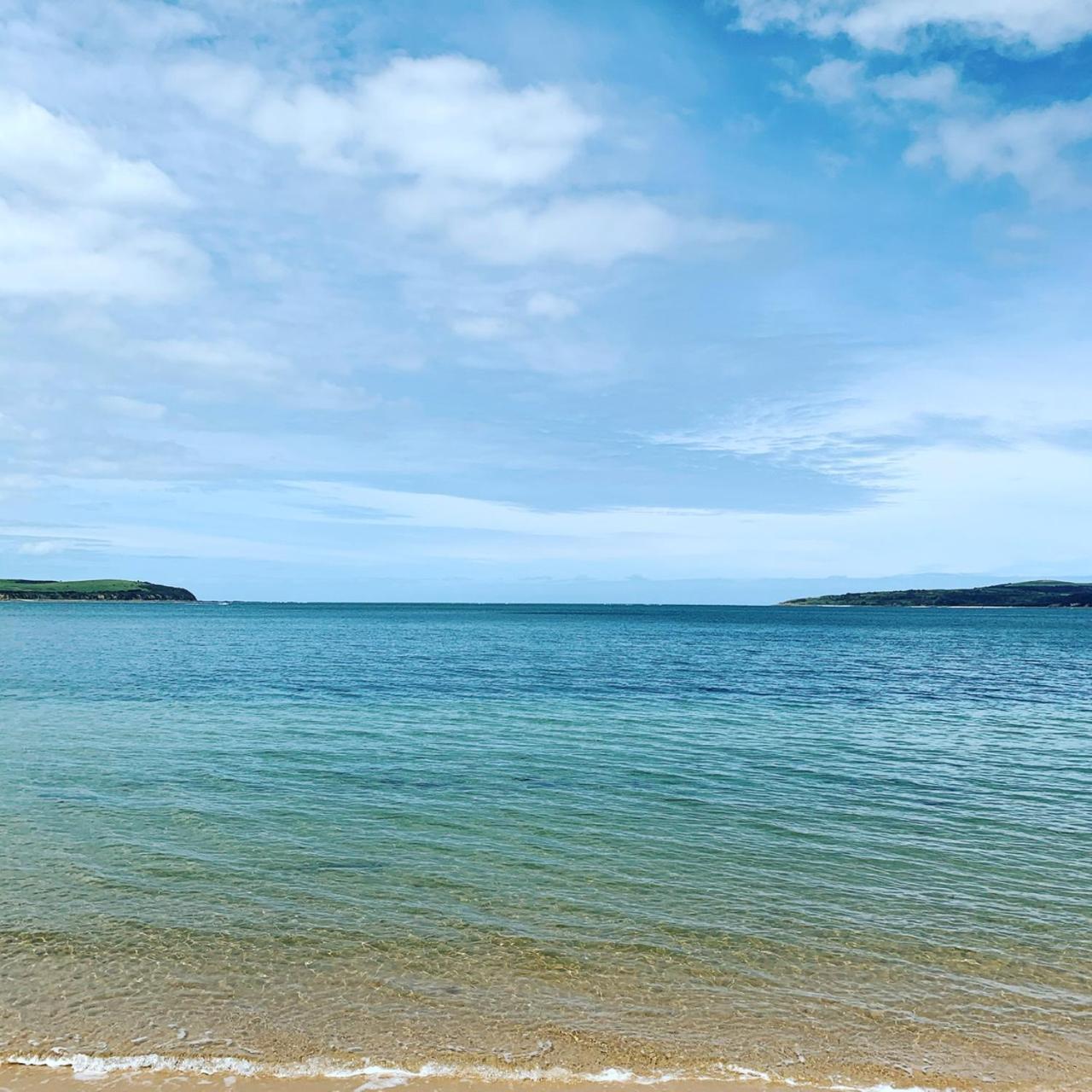 Bunya By The Sea
