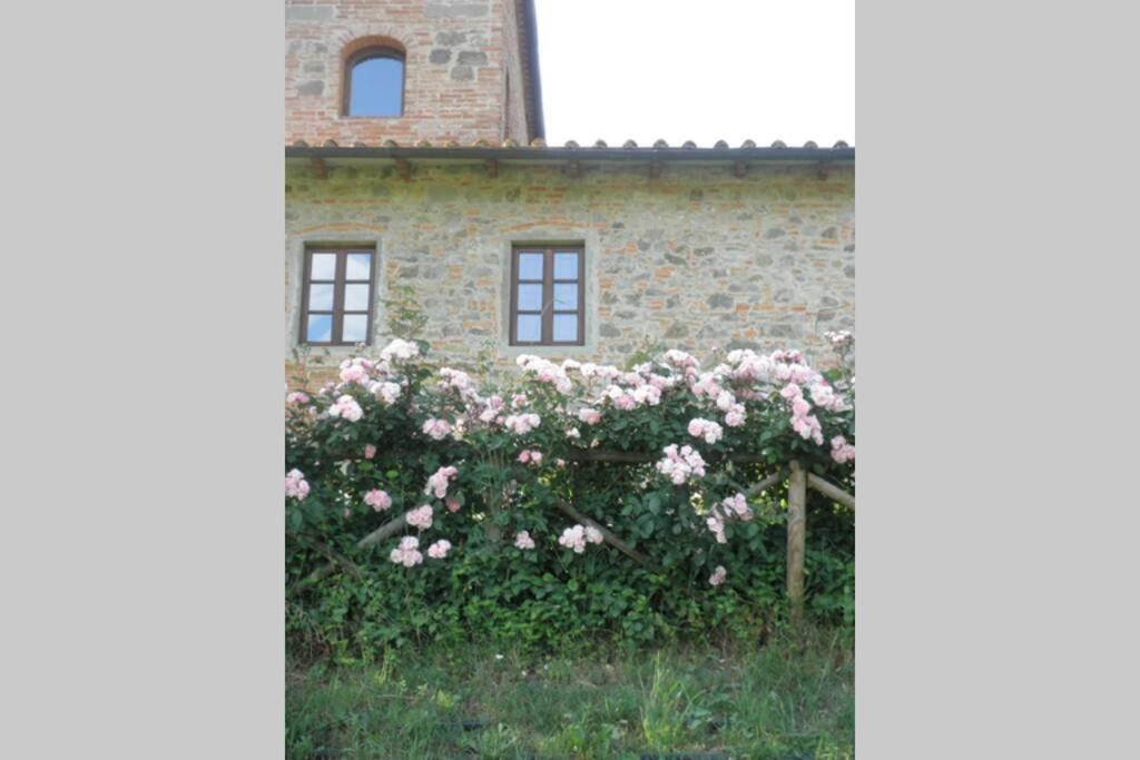 Photo 33