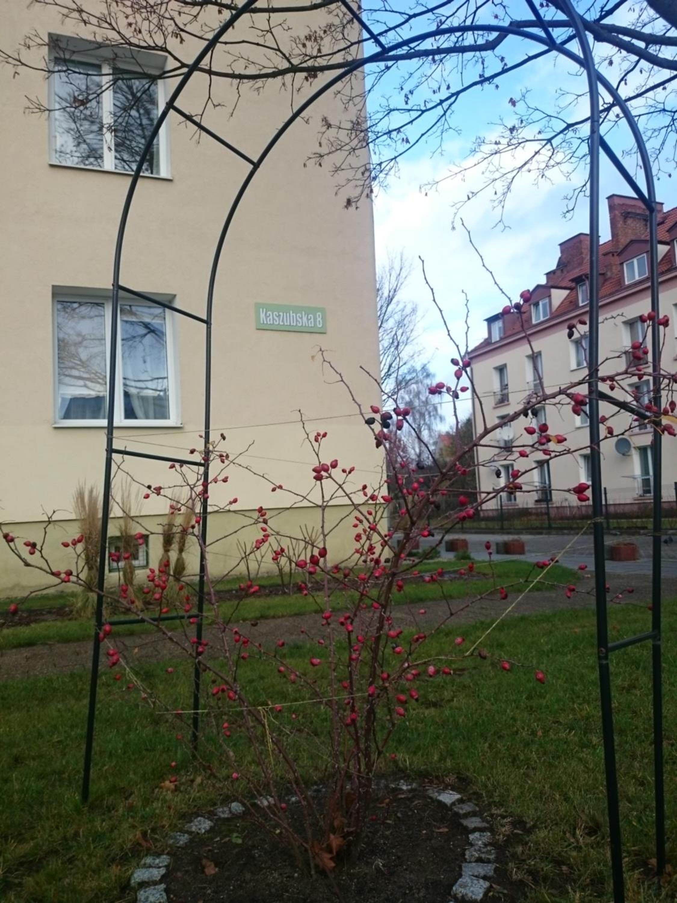 Apartament Olivia Centrum z zamknietym parkingiem, photo 36