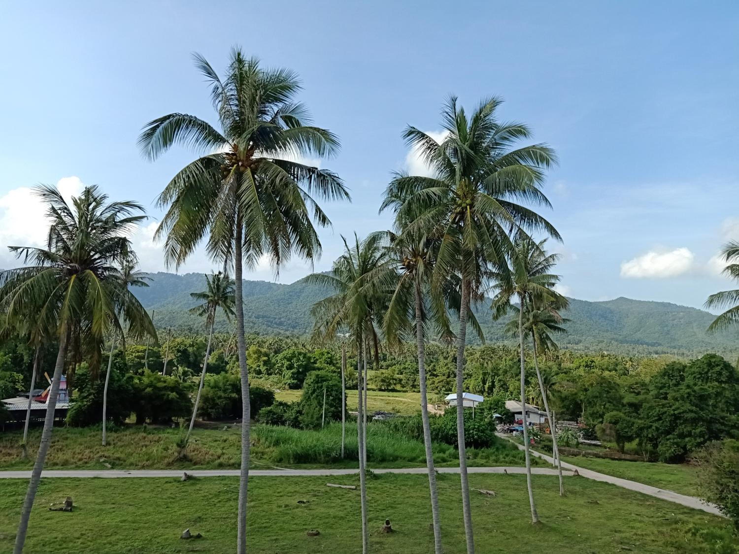 Amarin Samui Hotel - SHA Plus Certified
