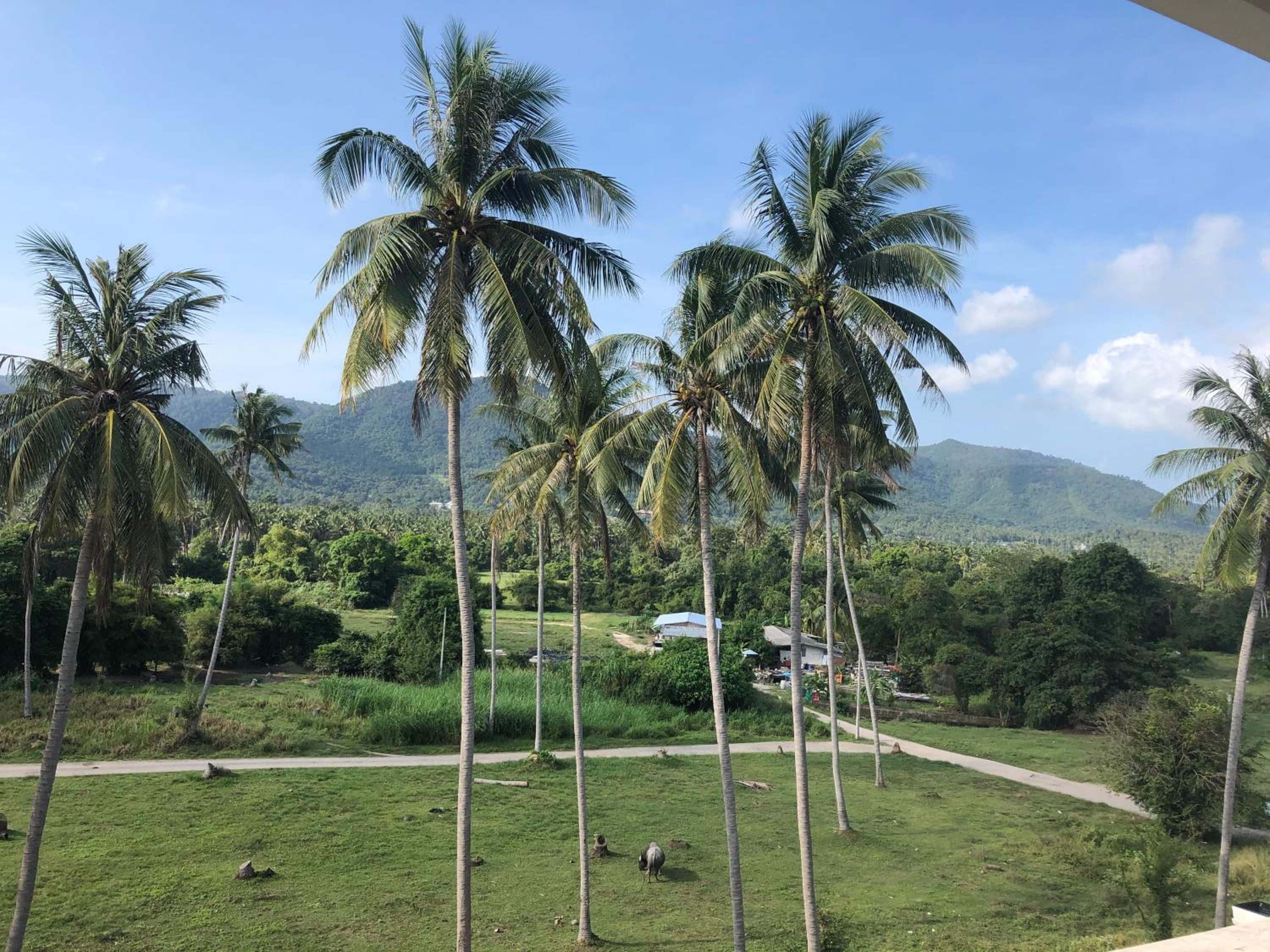 Amarin Samui Hotel - SHA Plus Certified — photo 59