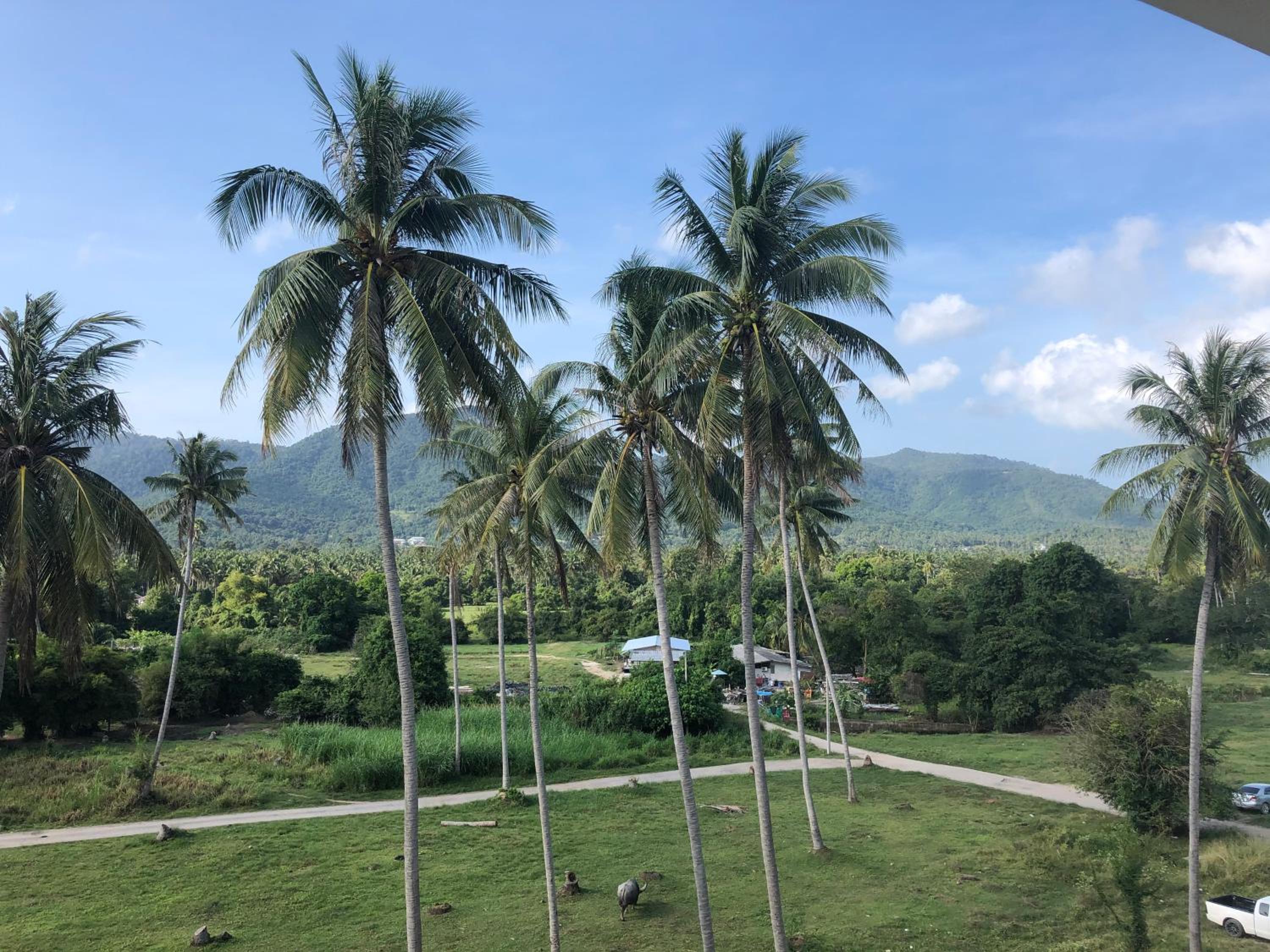 Amarin Samui Hotel - SHA Plus Certified — photo 90