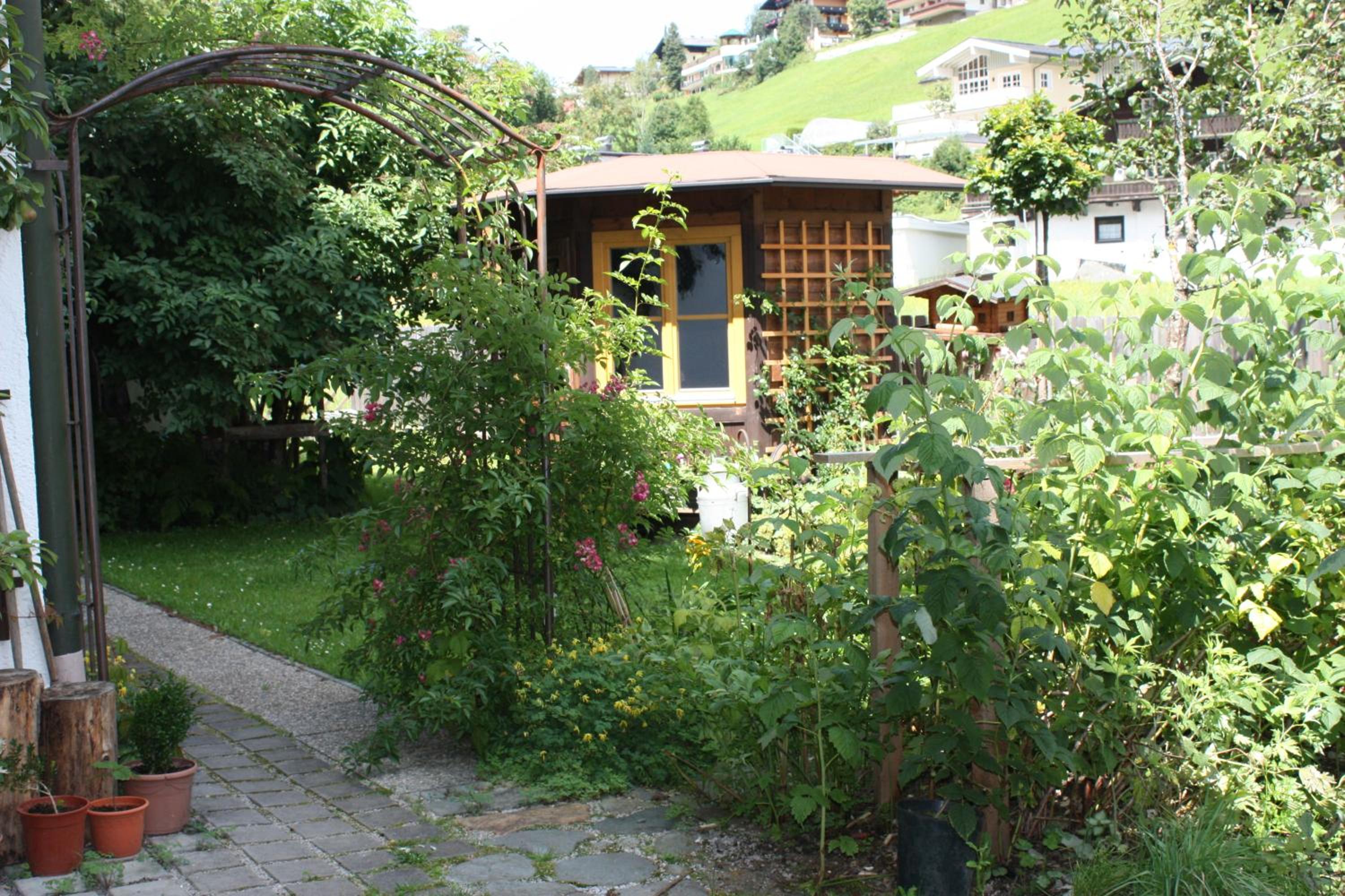 Photo 23