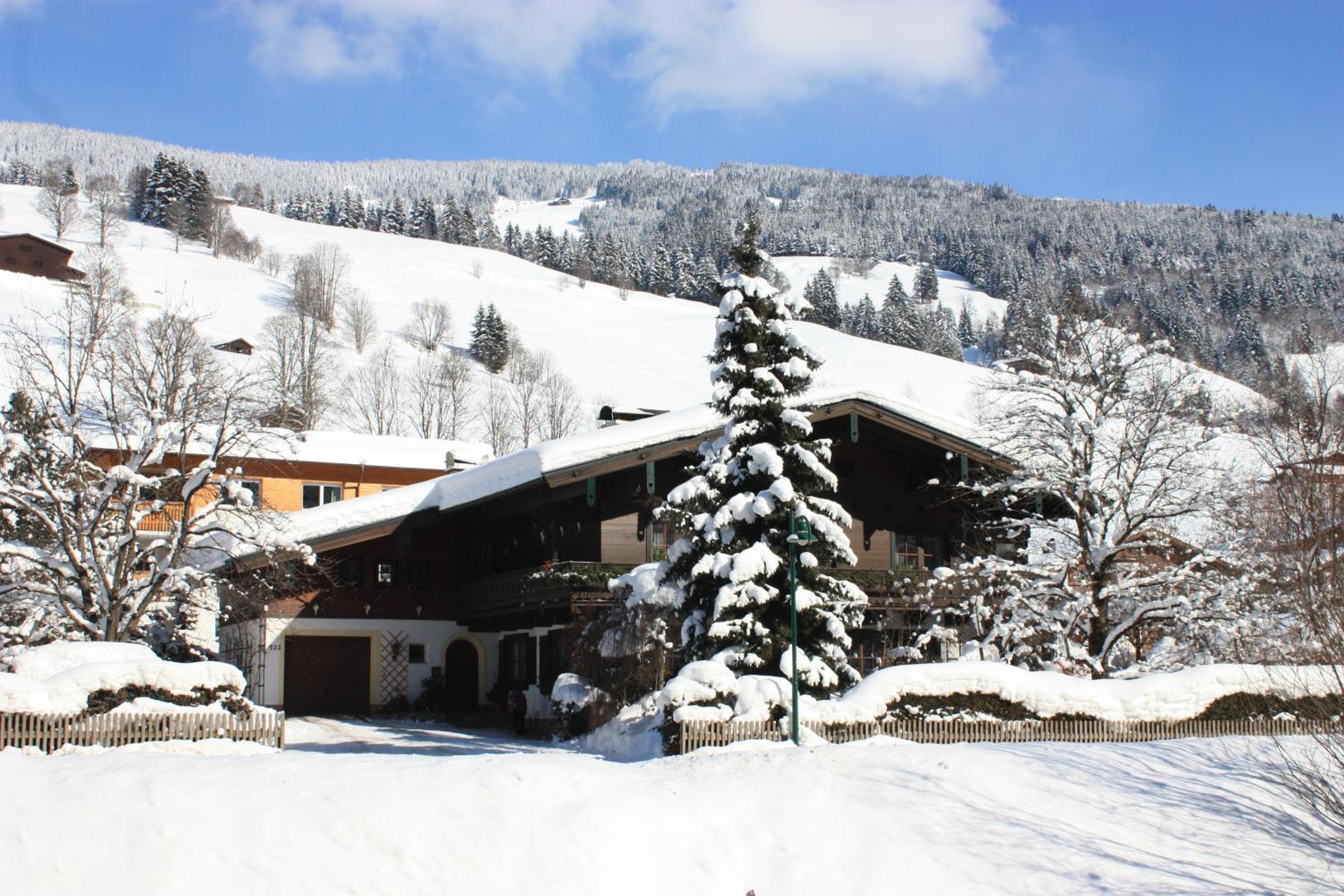 Forsthaus Pernthaner view 4