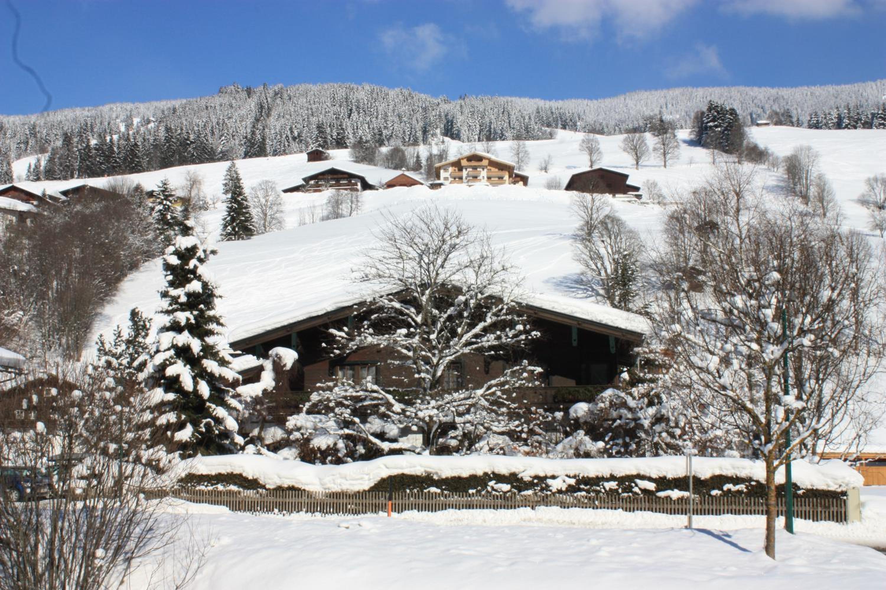 Photo 20