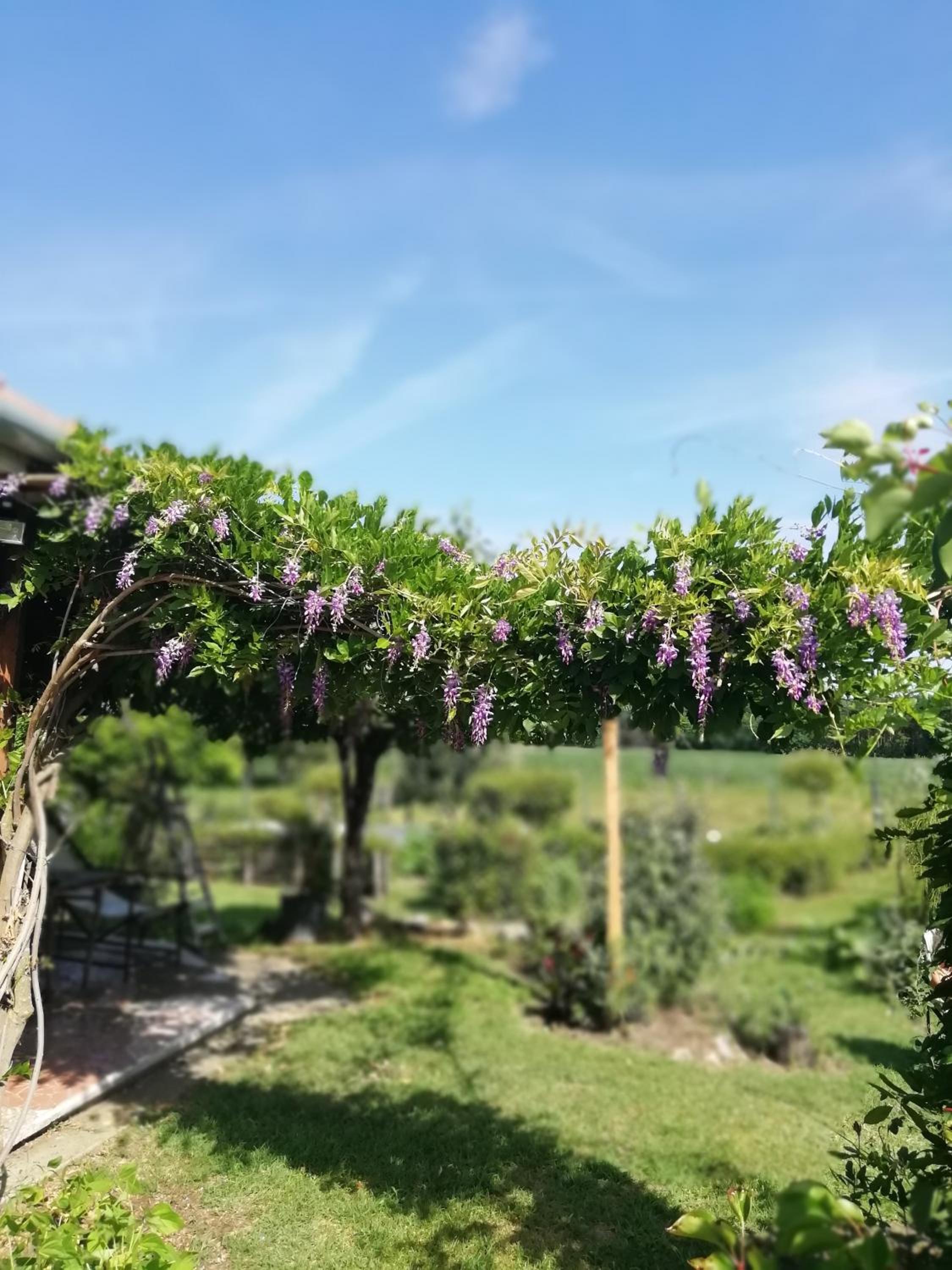 Lazy Days view 3